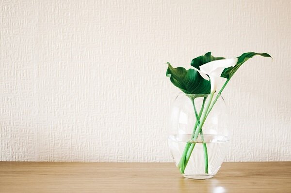 Natural Alternatives to Harmful Chemicals