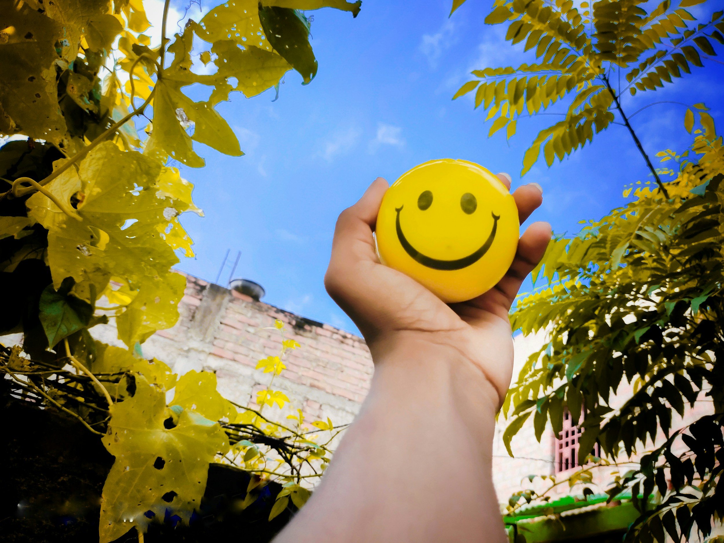 High Vibrations for Your BEST Well-Being