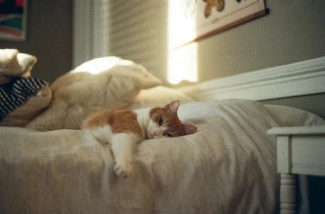 No More Rat Race, Just Calm