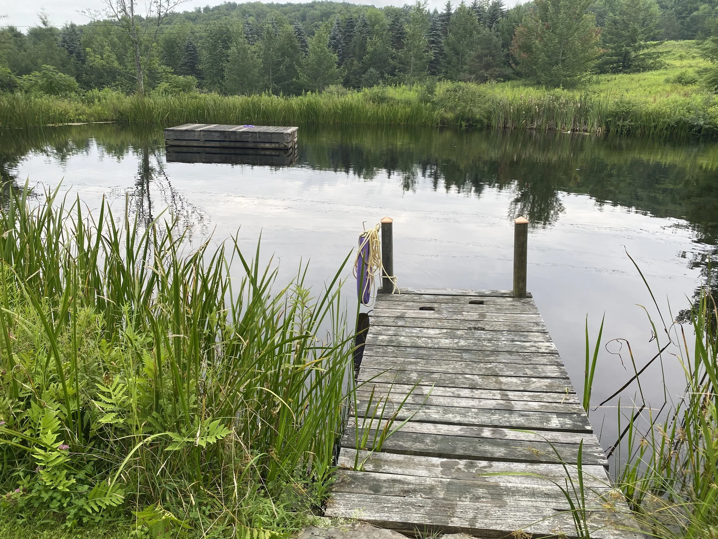 Summer Solstice Retreat