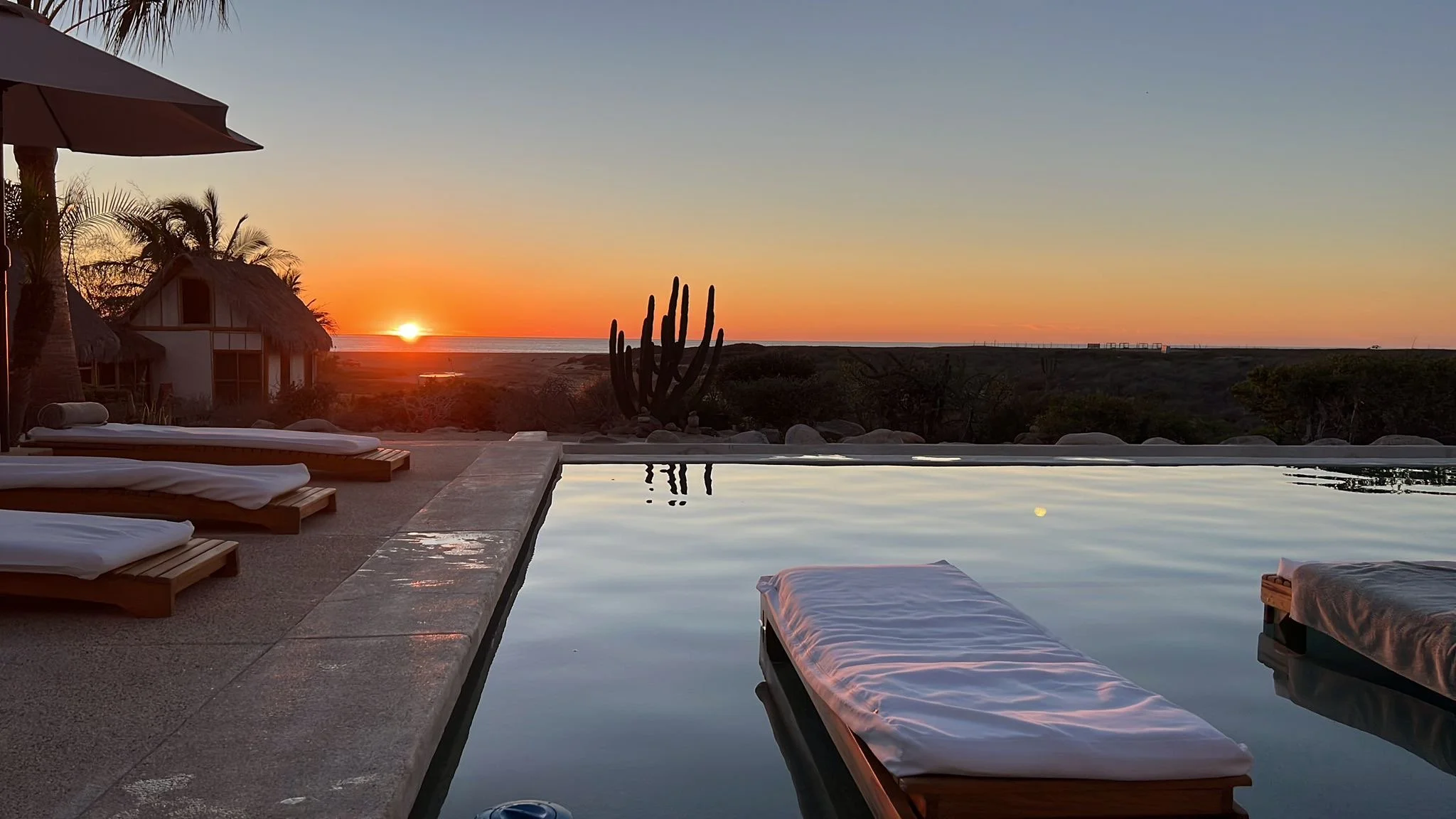 Wildly Calm Yoga &amp; Wellness Retreat