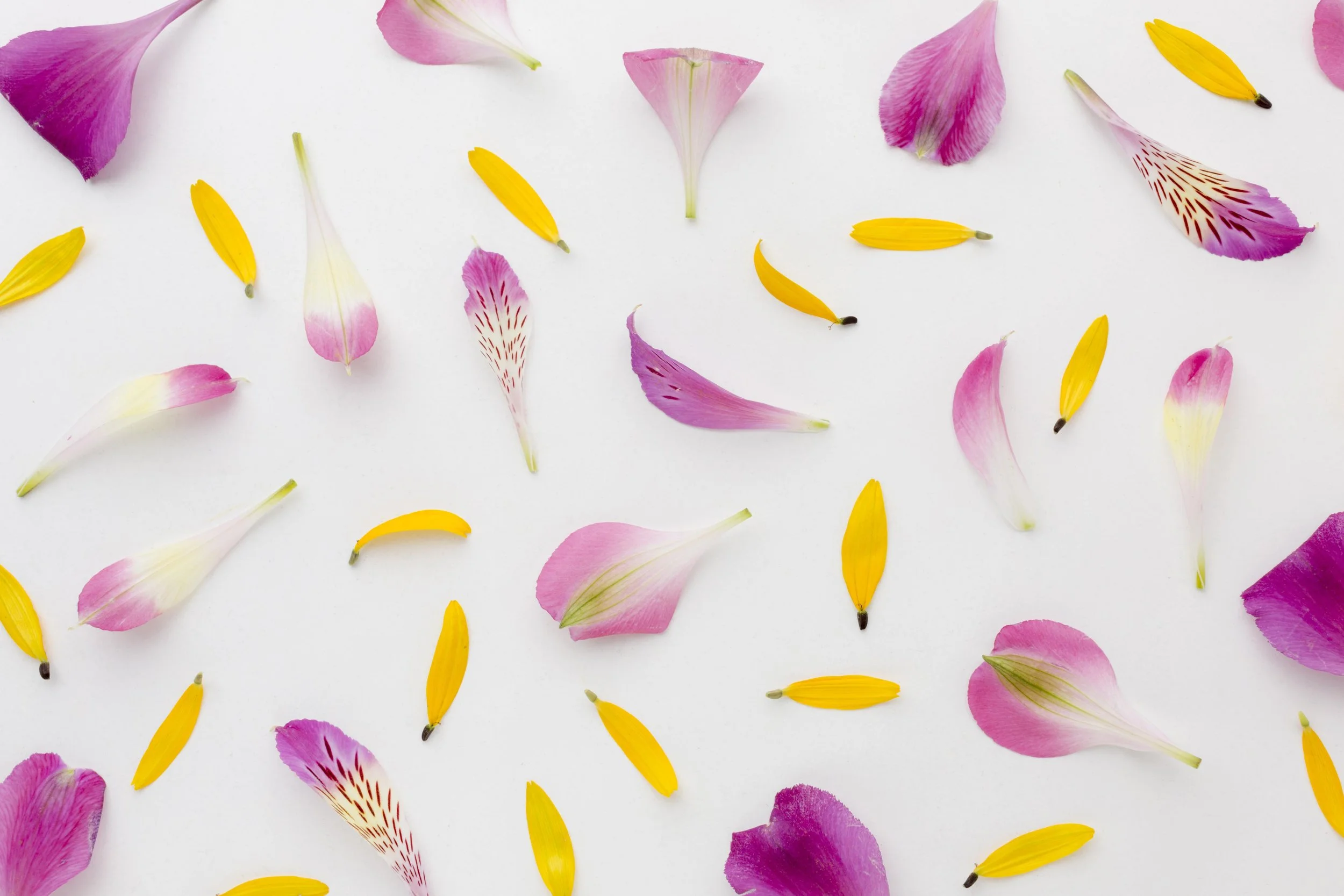 Discovering Sacred Geometry: An exploration through Yantras &amp; Mandalas