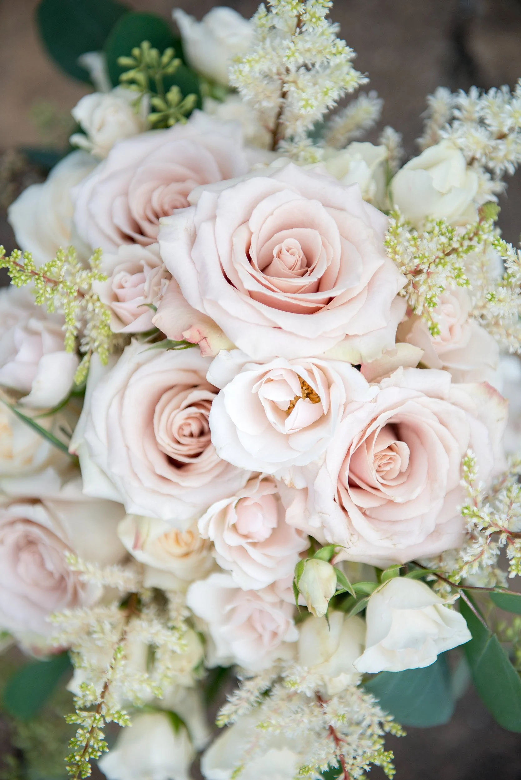 Tucker's Gap Wedding Venue