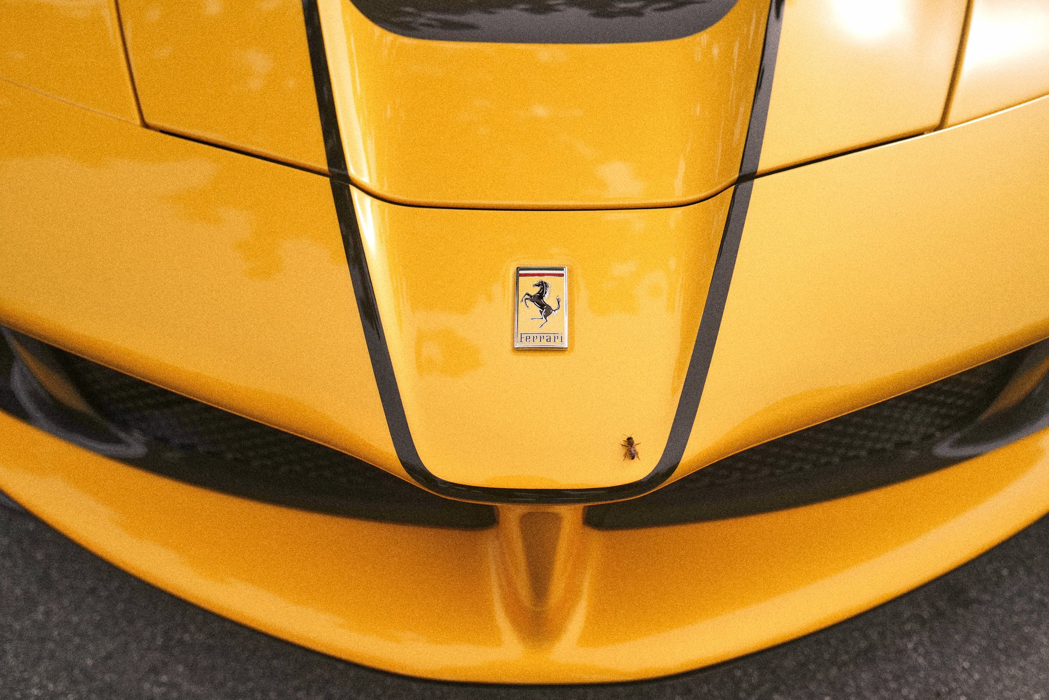 27th Annual Ferrari Event at The Barnyard