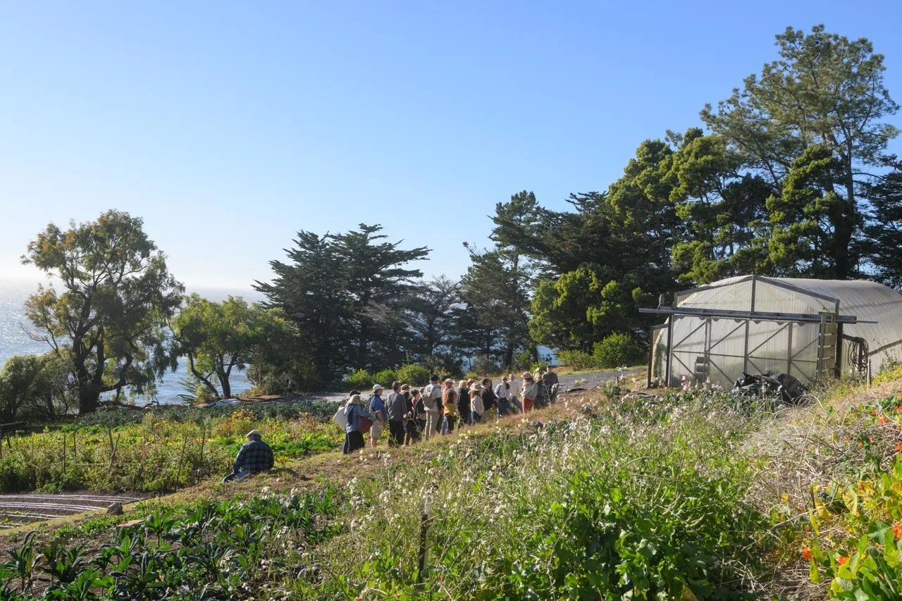 BSFW-2024-Esalen-DMT-219.jpg
