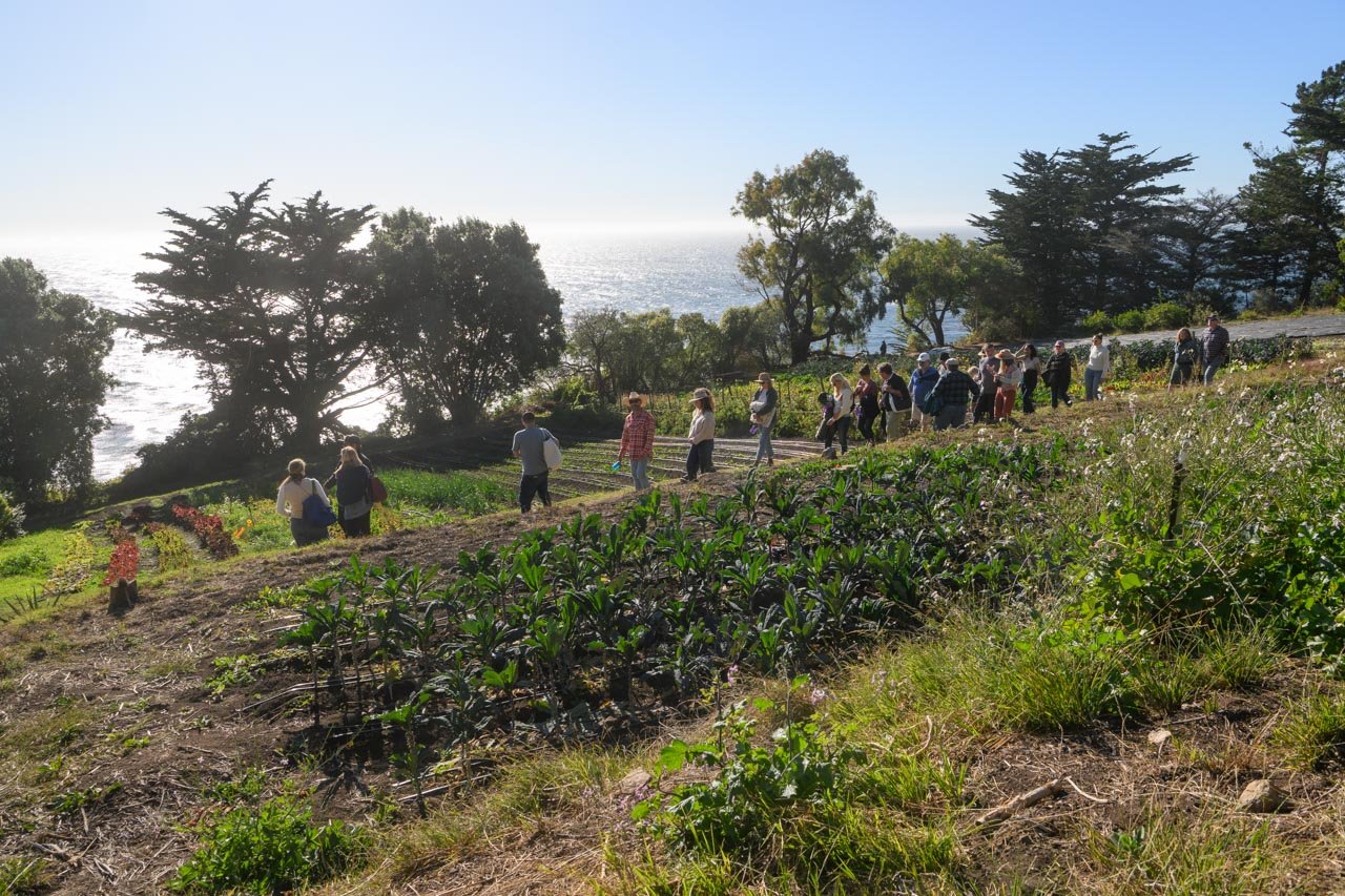 BSFW-2024-Esalen-DMT-220.jpg