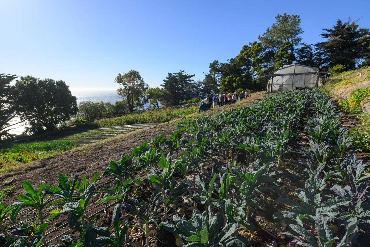 BSFW-2024-Esalen-DMT-217.jpg