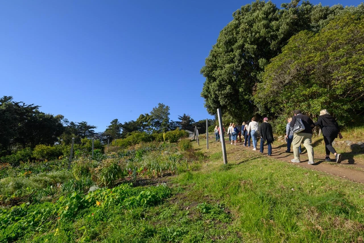 BSFW-2024-Esalen-DMT-206.jpg