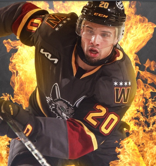 Chicago Wolves v. Milwaukee Admirals