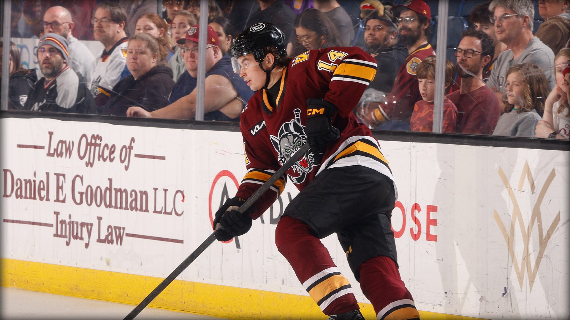 Chicago Wolves V Iowa Wild