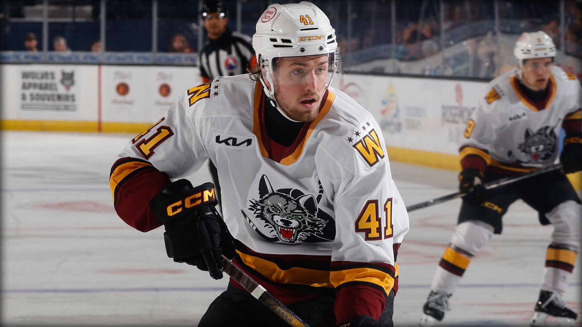 Chicago Wolves V Milwaukee Admirals