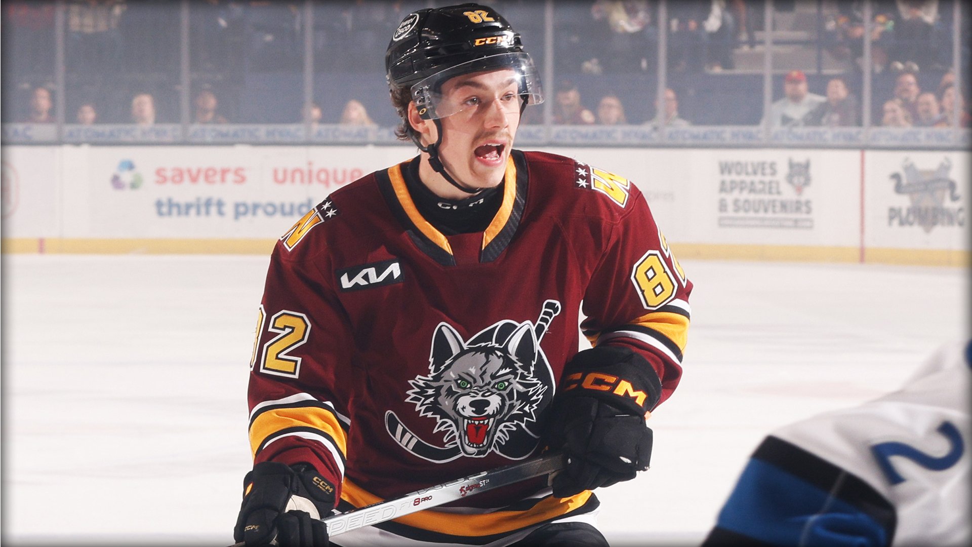 Chicago Wolves V Manitoba Moose