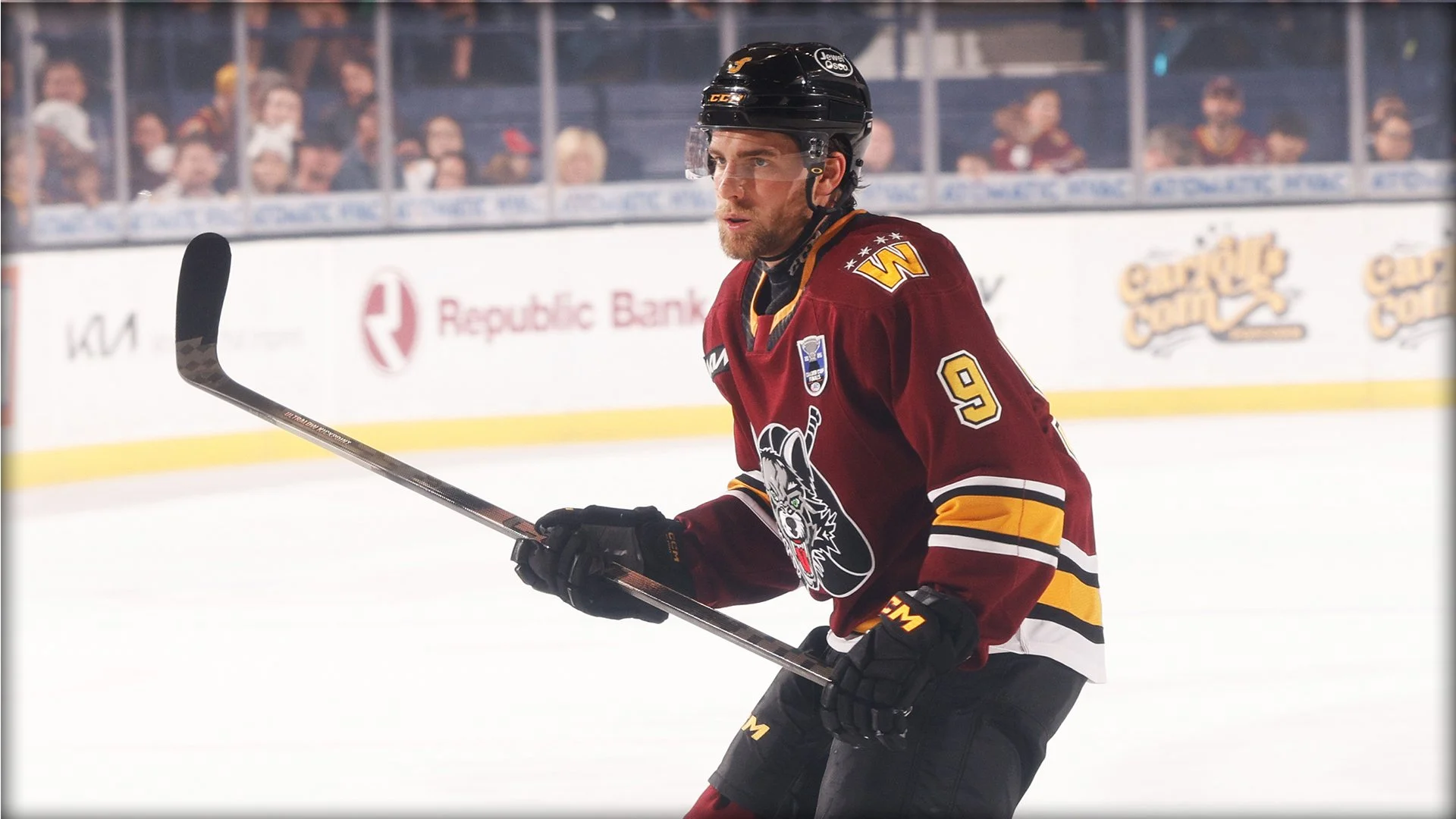 Chicago Wolves V Texas Stars