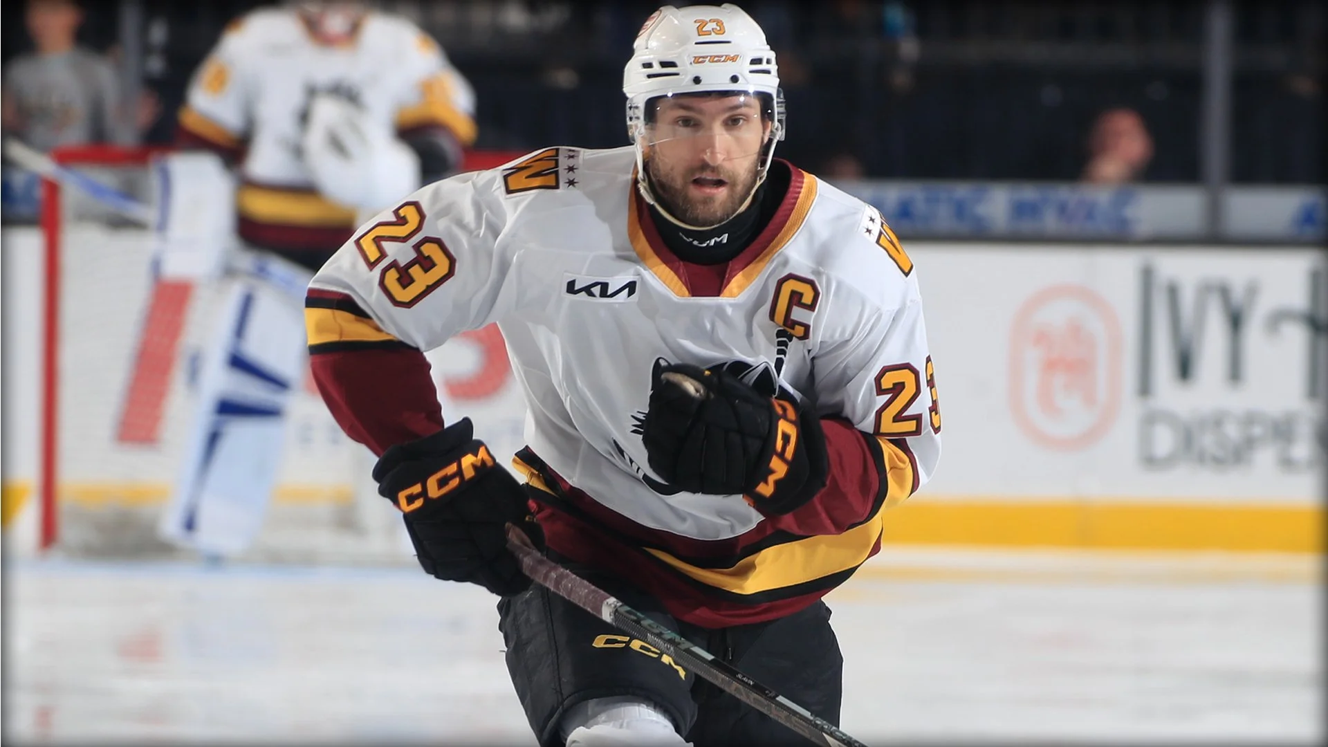 Chicago Wolves V Grand Rapids Griffins