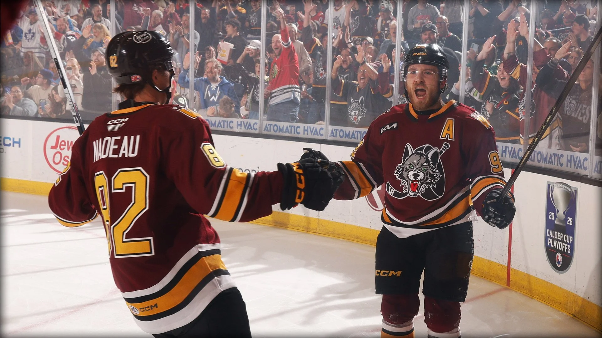 Chicago Wolves V Texas Stars