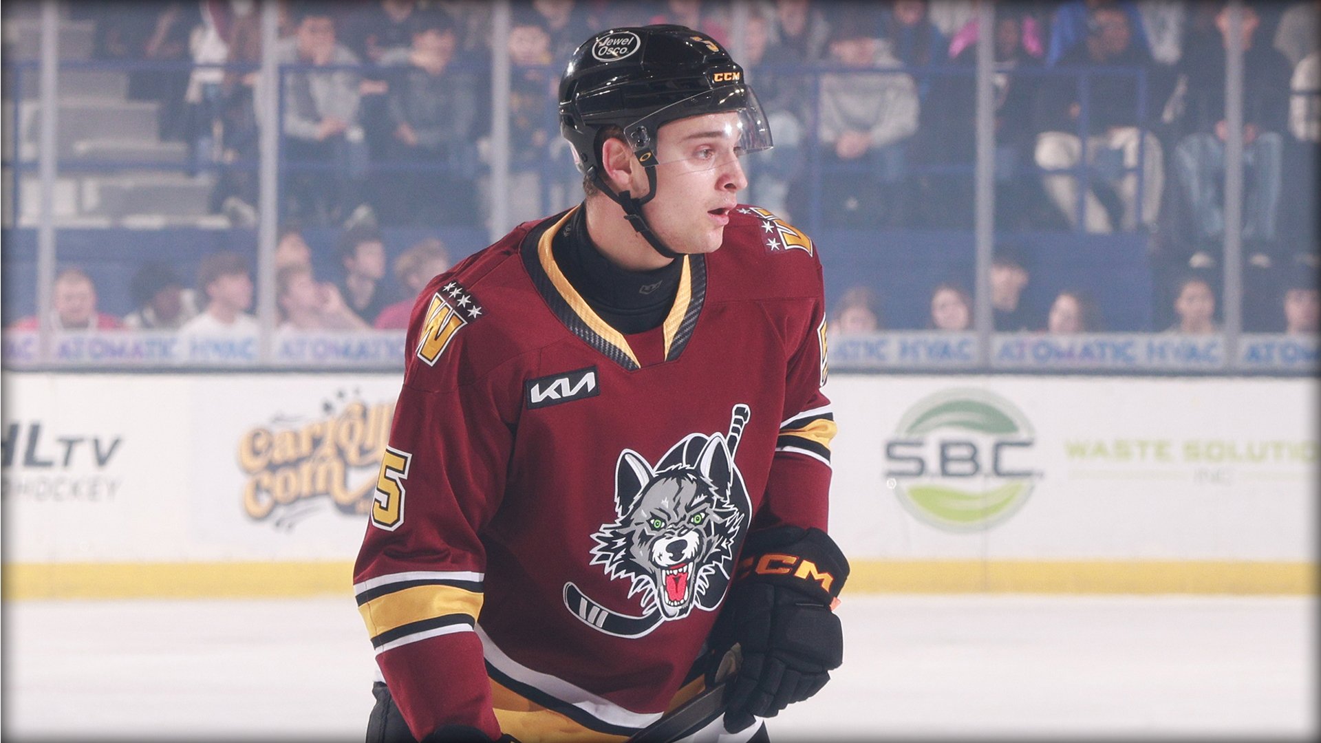 Chicago Wolves V Rockford Icehogs