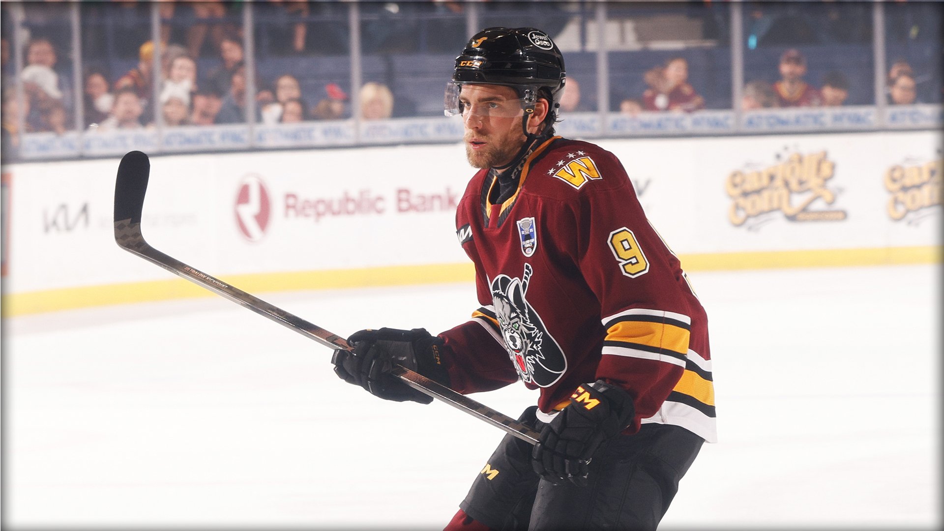 Chicago Wolves V Iowa Wild