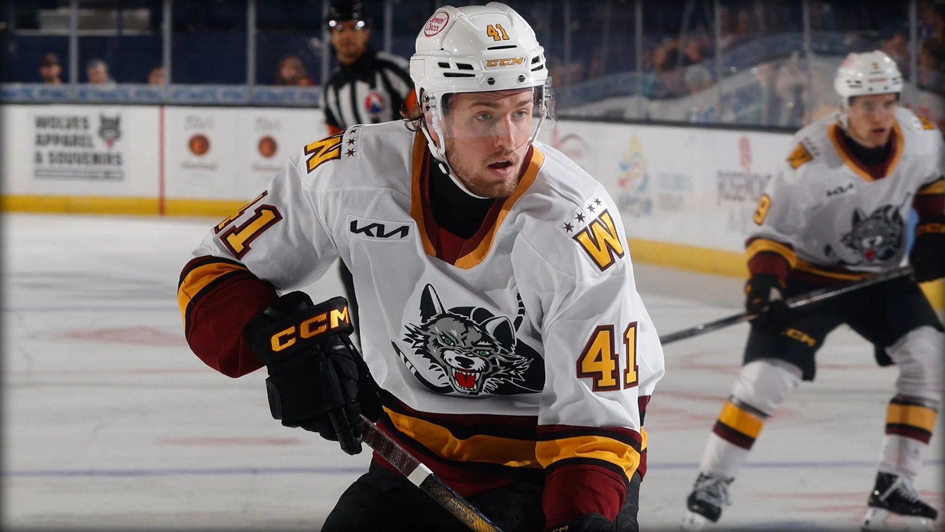 Chicago Wolves V San Jose Barracuda
