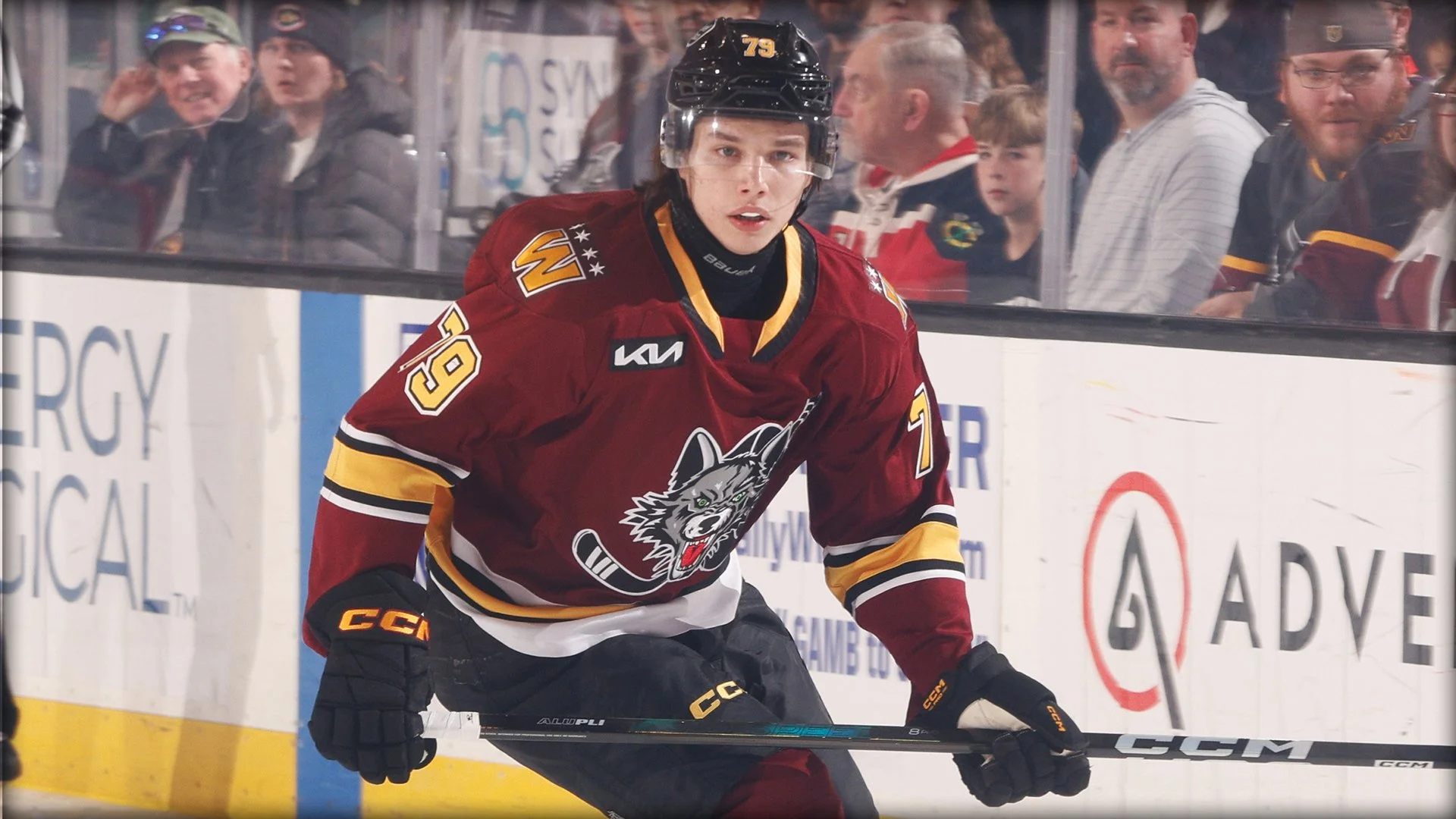 Chicago Wolves V Texas Stars