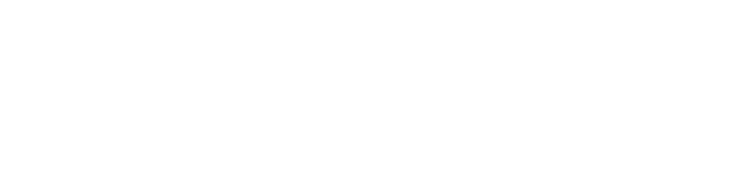 Data Migration Pro