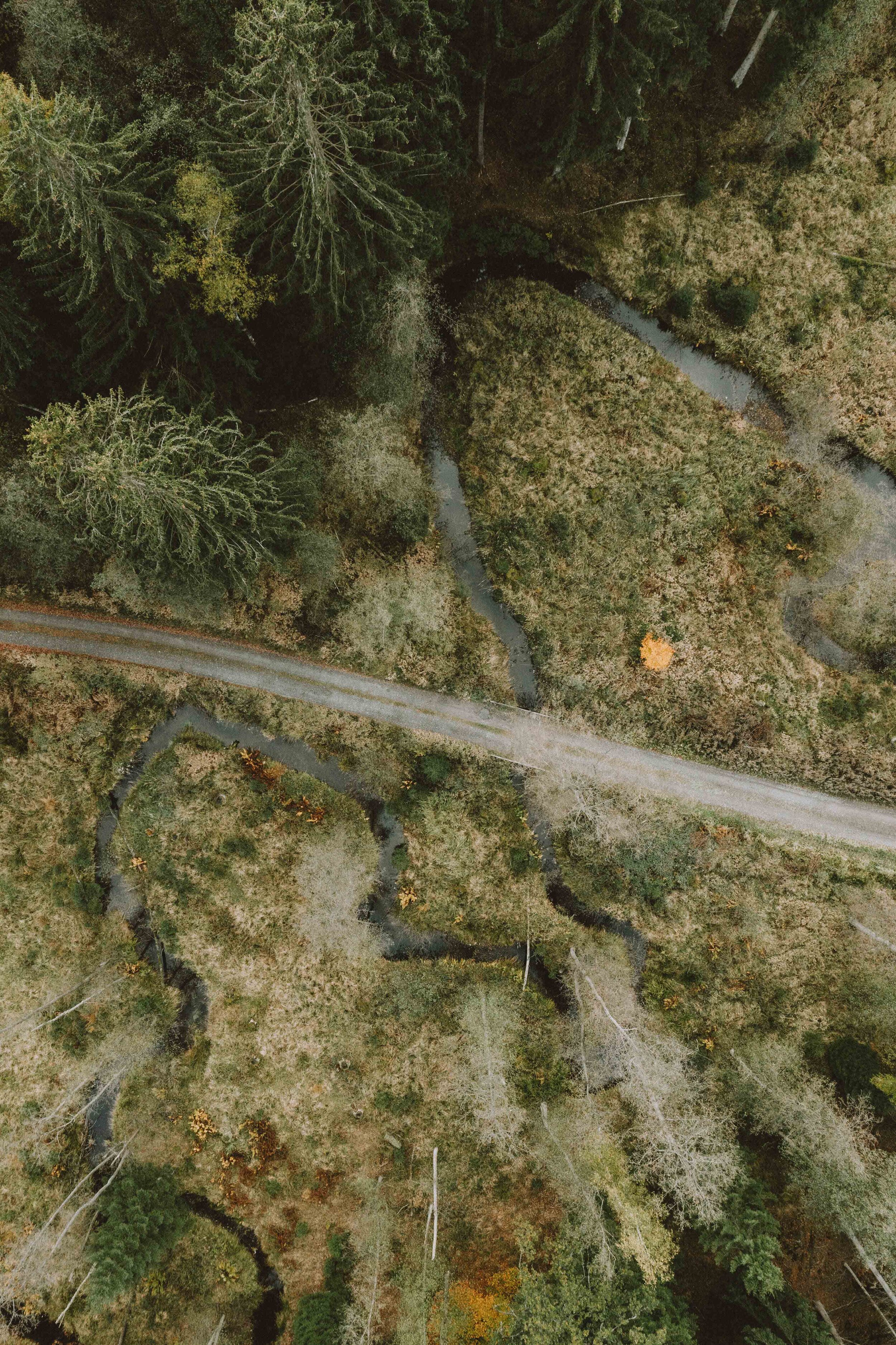 Top Down Path