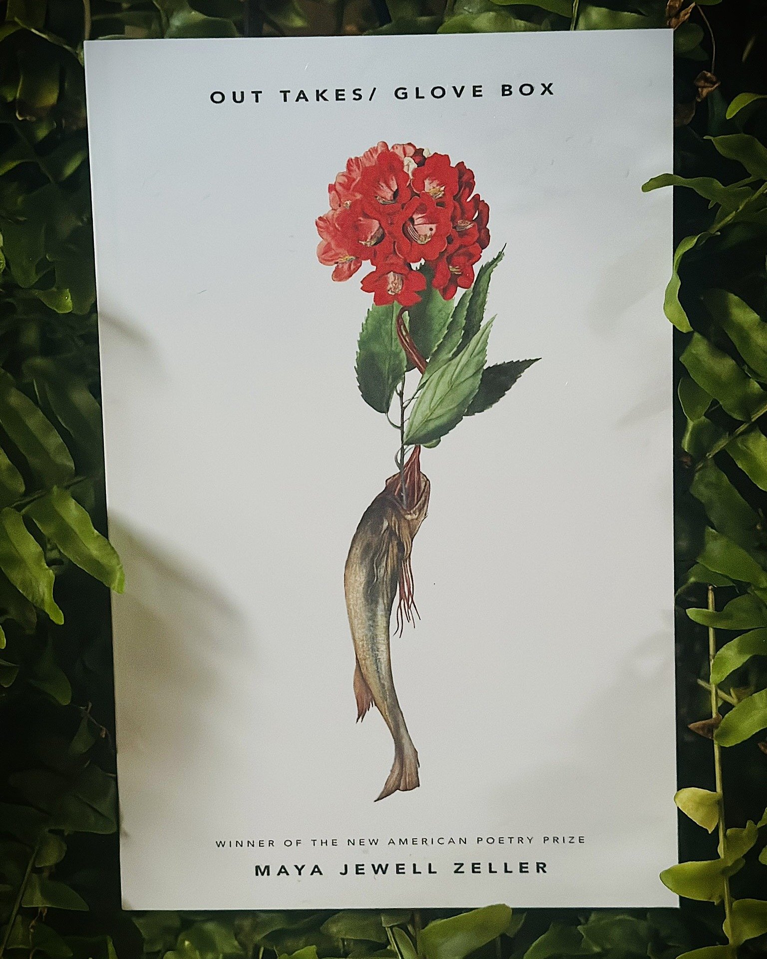 Happy OUT TAKES/ GLOVE BOX #bookversary to Maya Jewell Zeller! Her most recent poetry book was published one year ago today, having been selected by Eduardo Corral as the winner the 2022 New American Poetry (@newamerpress) Prize. We love this book, a