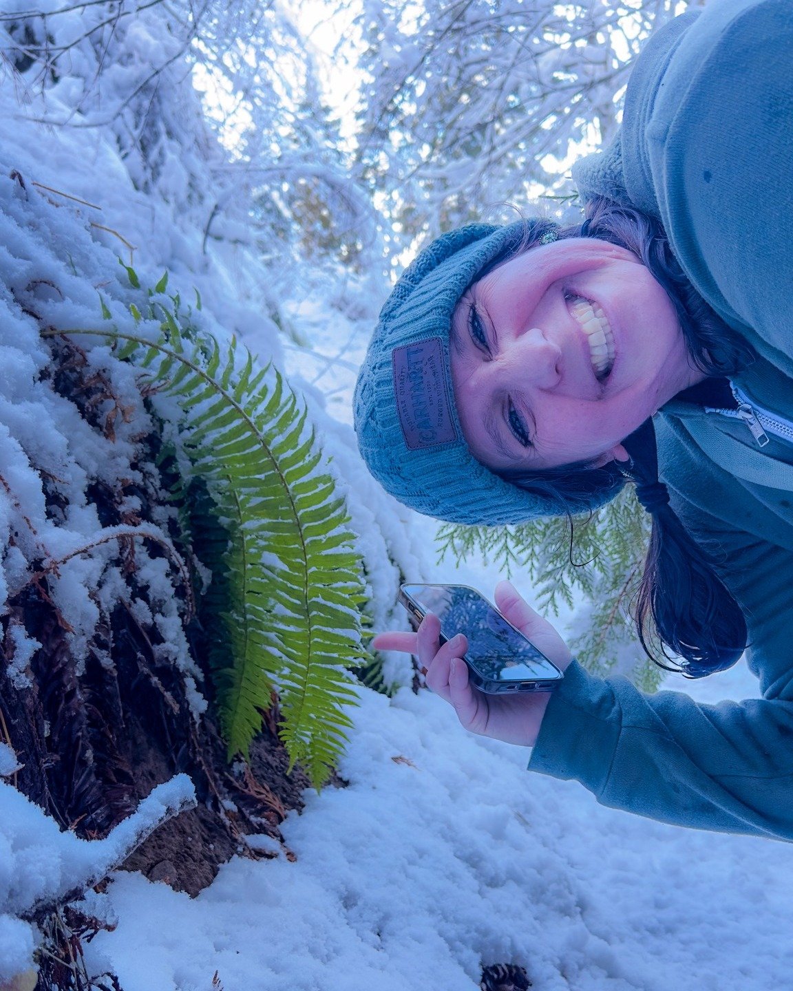 One highlight from our time out of state early this month was getting to hang with forthcoming Porphyry author Maya Jewell Zeller in her own Washington habitat. Miles in near the Idaho border, we found the greenest snow-shirking fern in all the land 