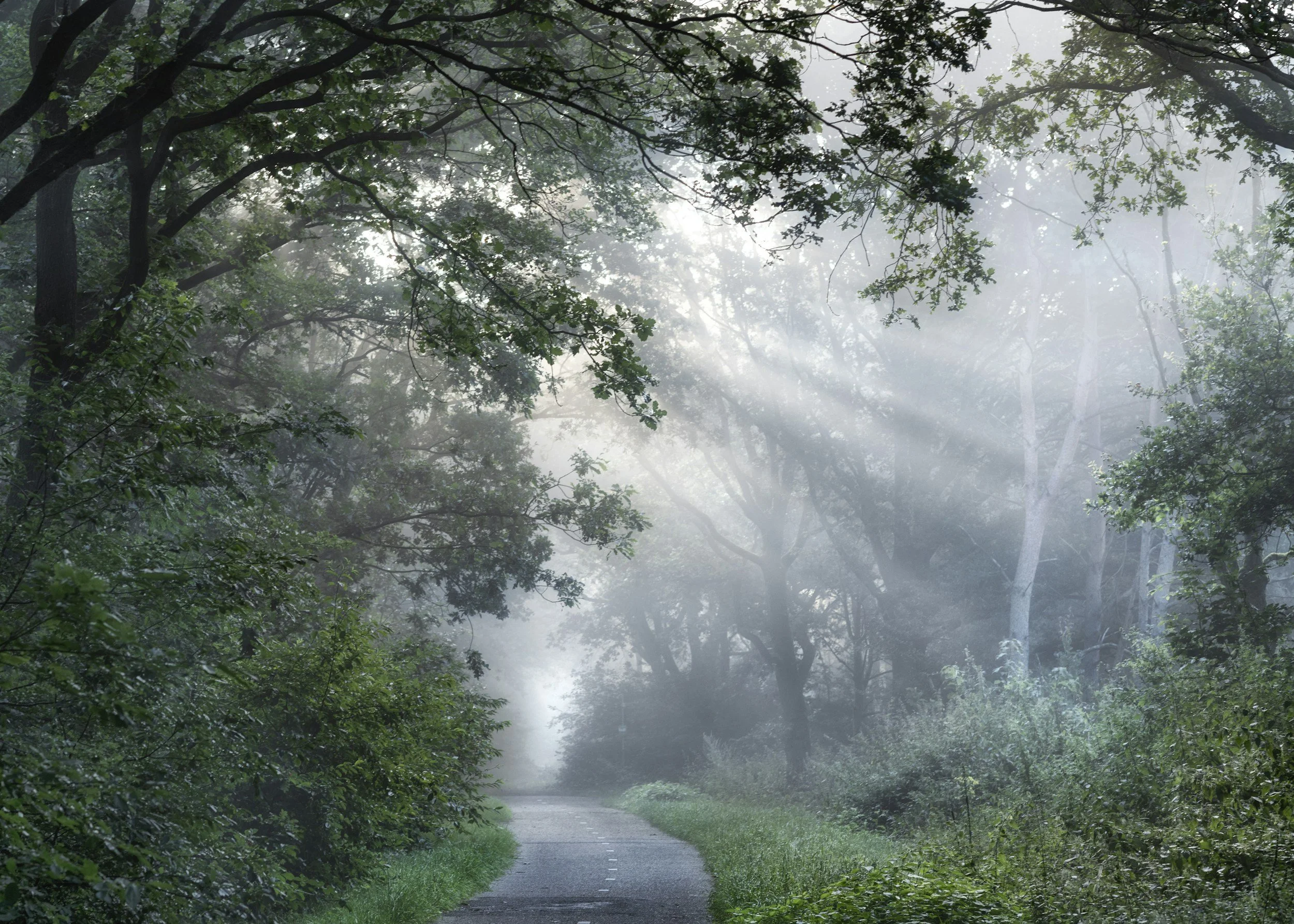 field work: Wordiness &amp; the word, part 2  the wild places