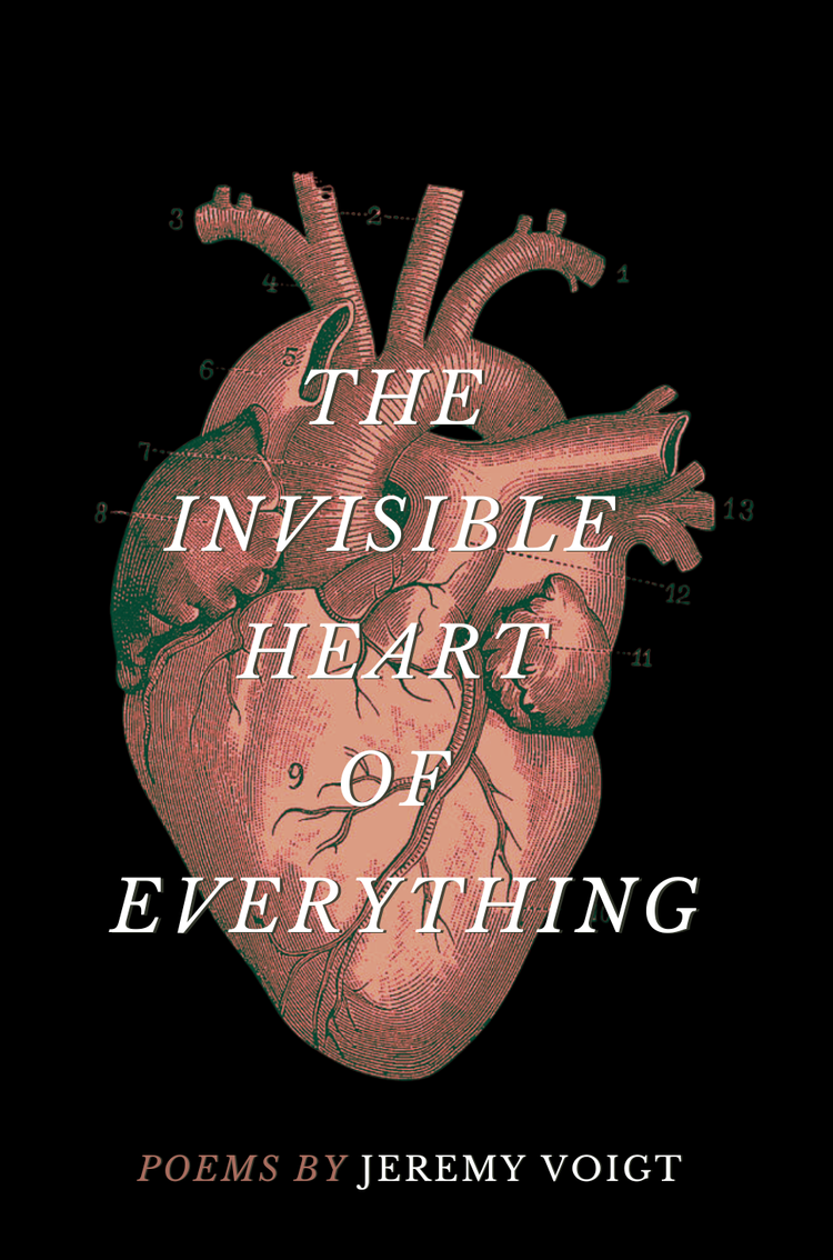 The+Invisible+Heart+of+Everything+by+Jeremy+Voigt++-+Final.webp