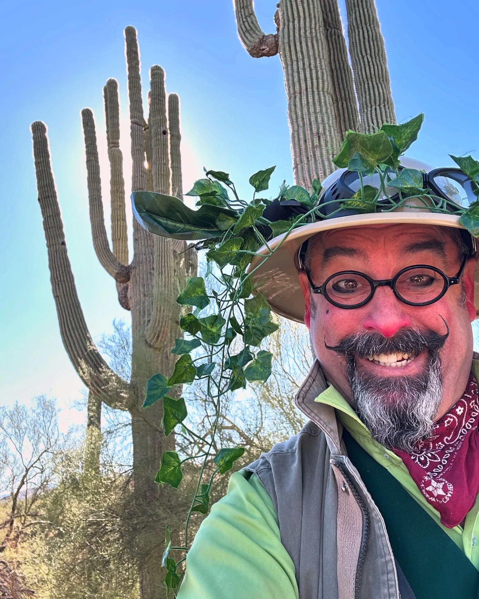 Promo_DINO_Cactus.JPG
