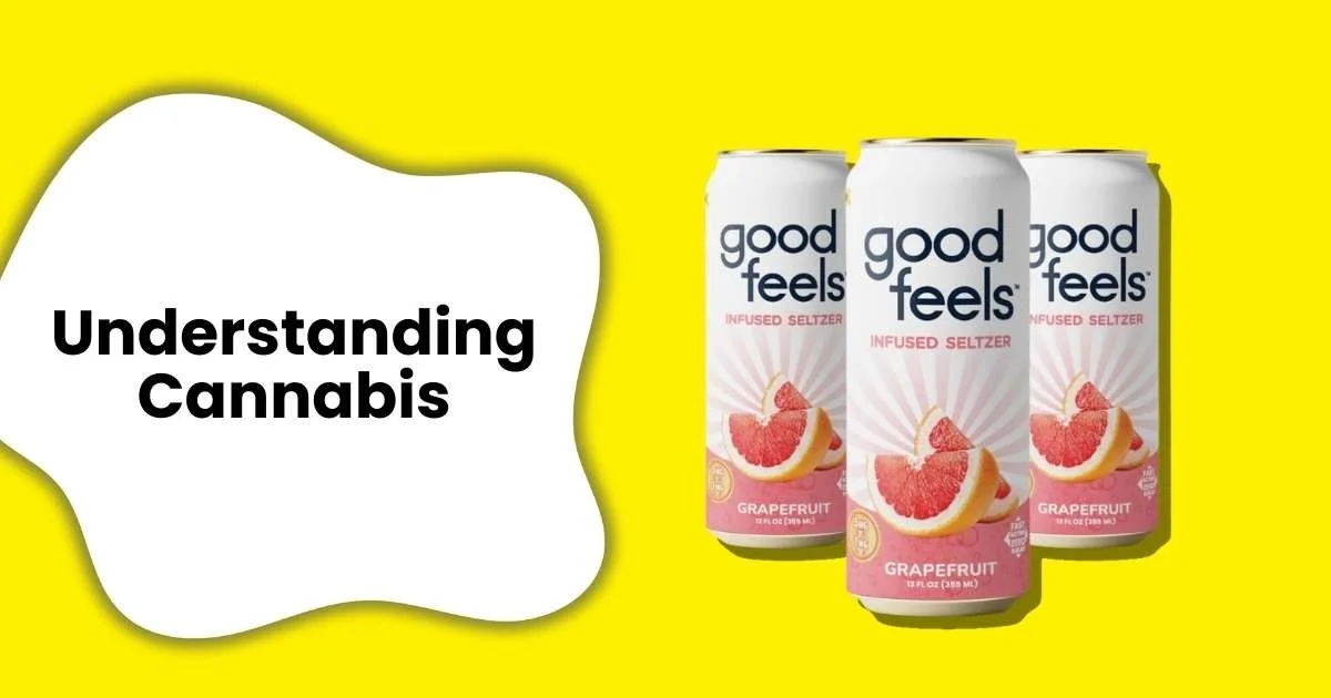 What Is a THC Seltzer and Do THC Seltzers Work