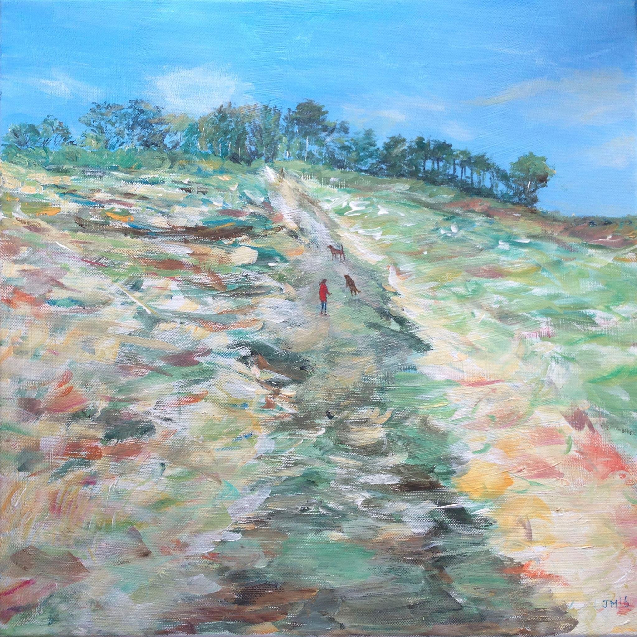 Up on the heath.jpg