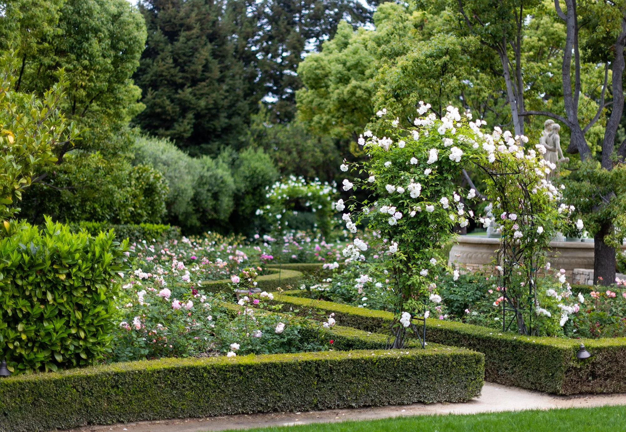 IL GIARDINO 14 1.jpg