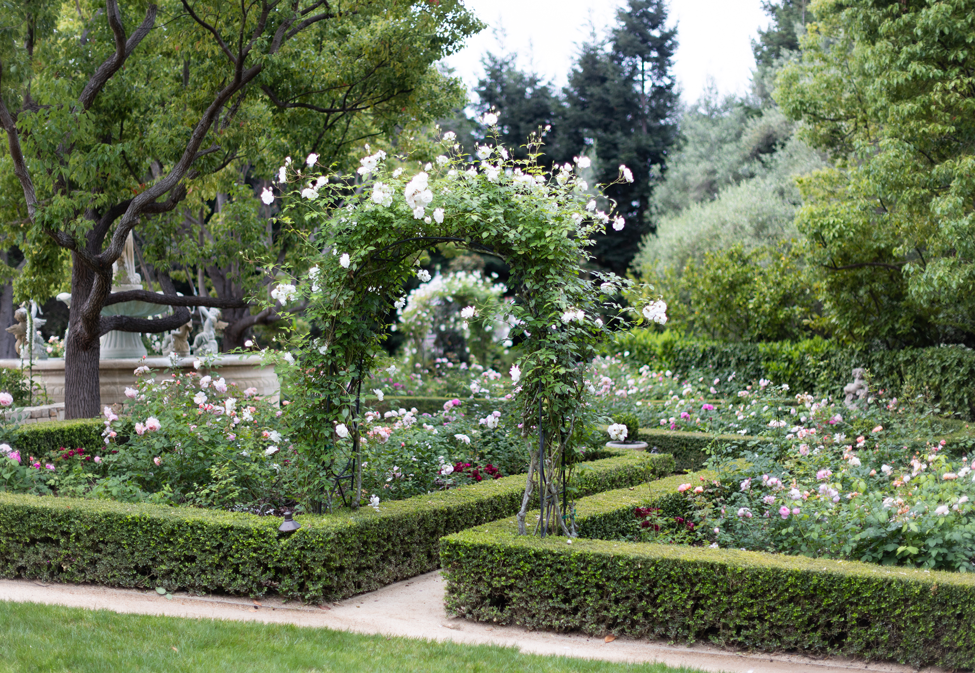 IL GIARDINO 19 1.png
