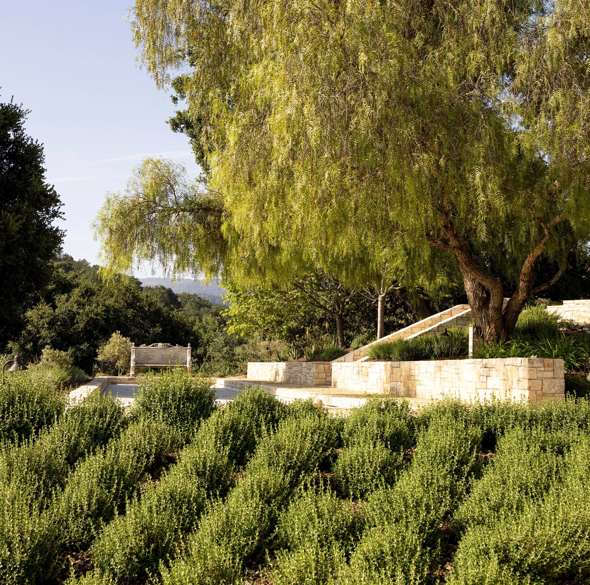 IL GIARDINO 18 1.jpg