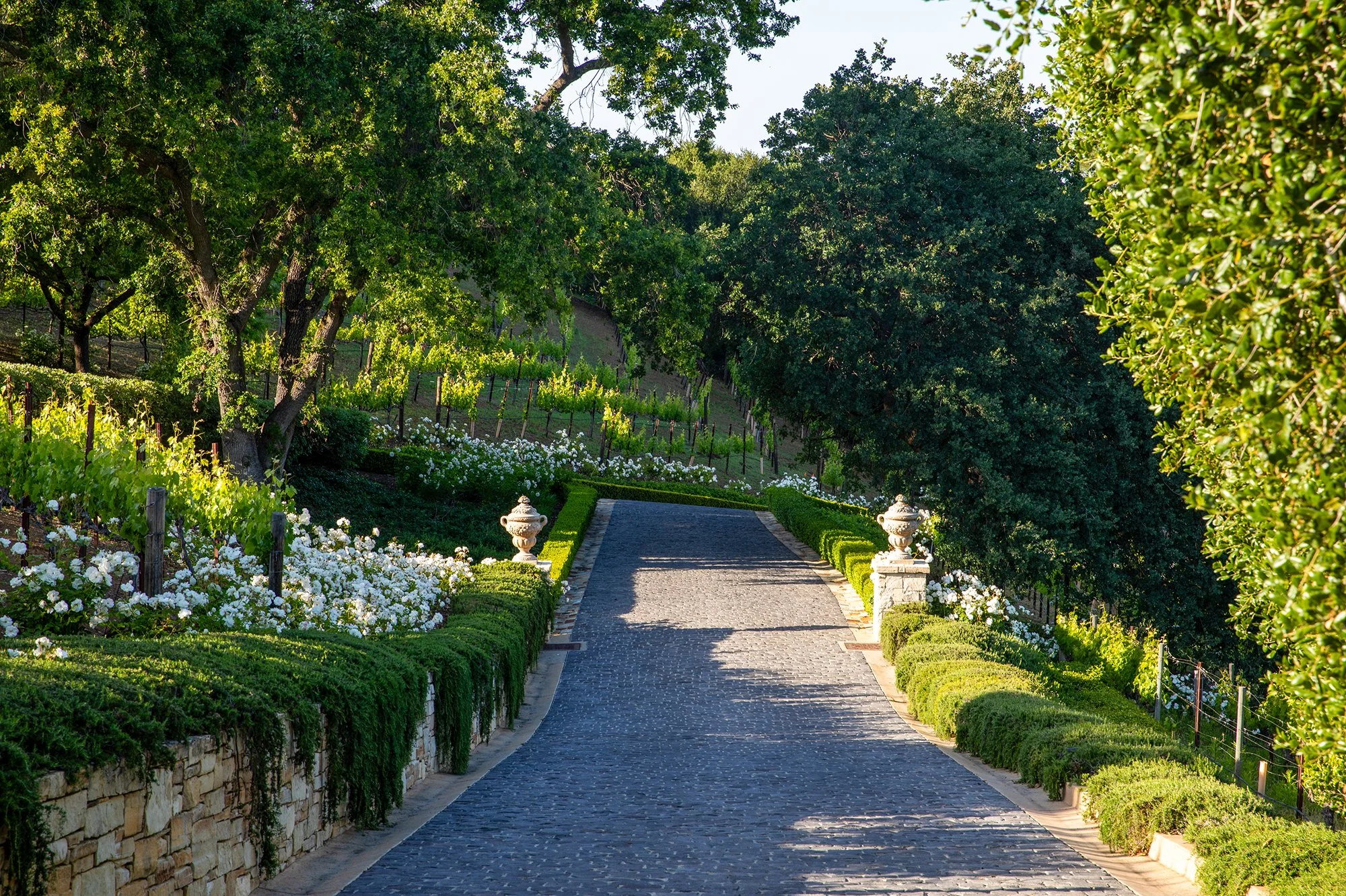 IL GIARDINO 22 1.jpg