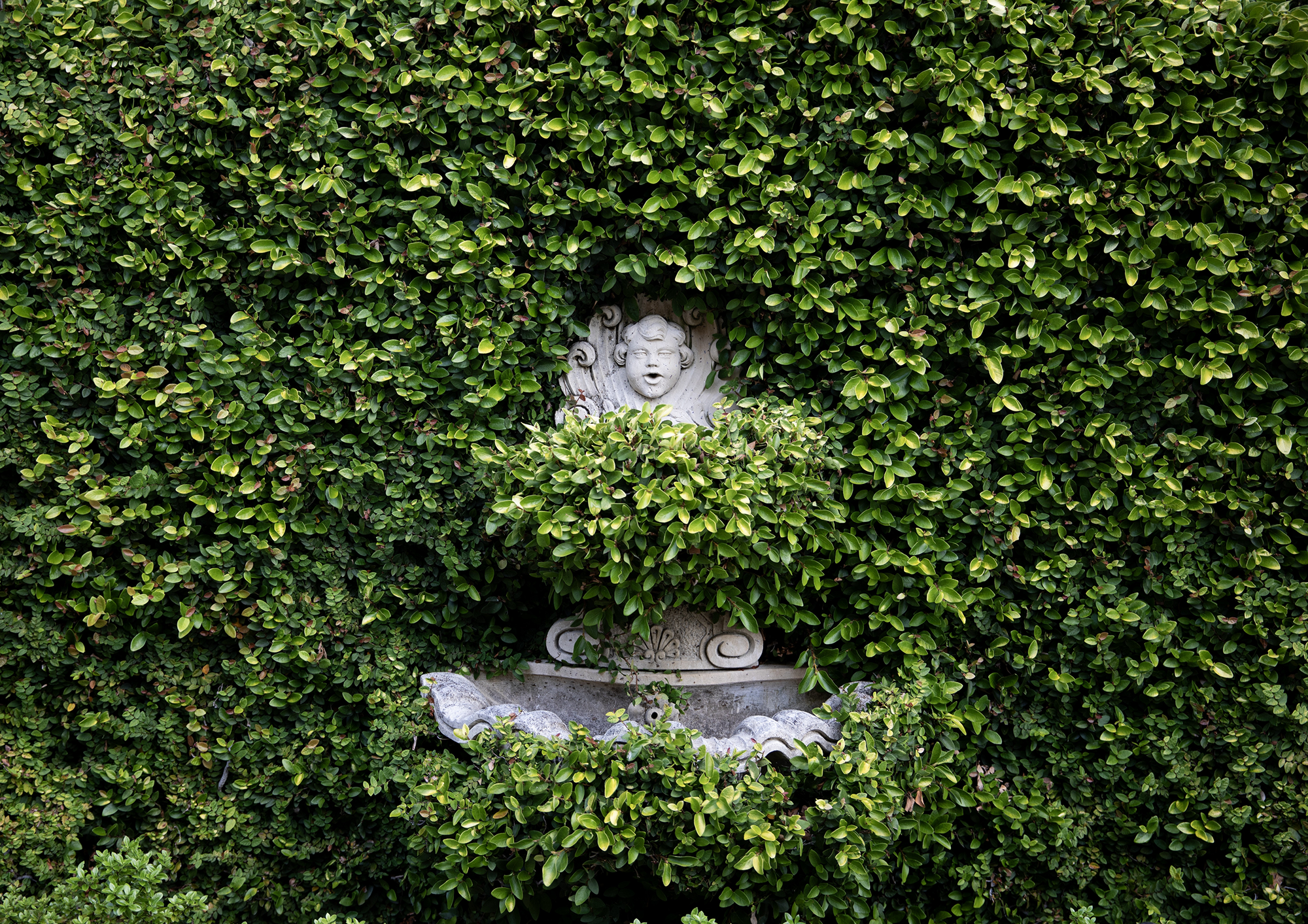 IL GIARDINO 10 1.png