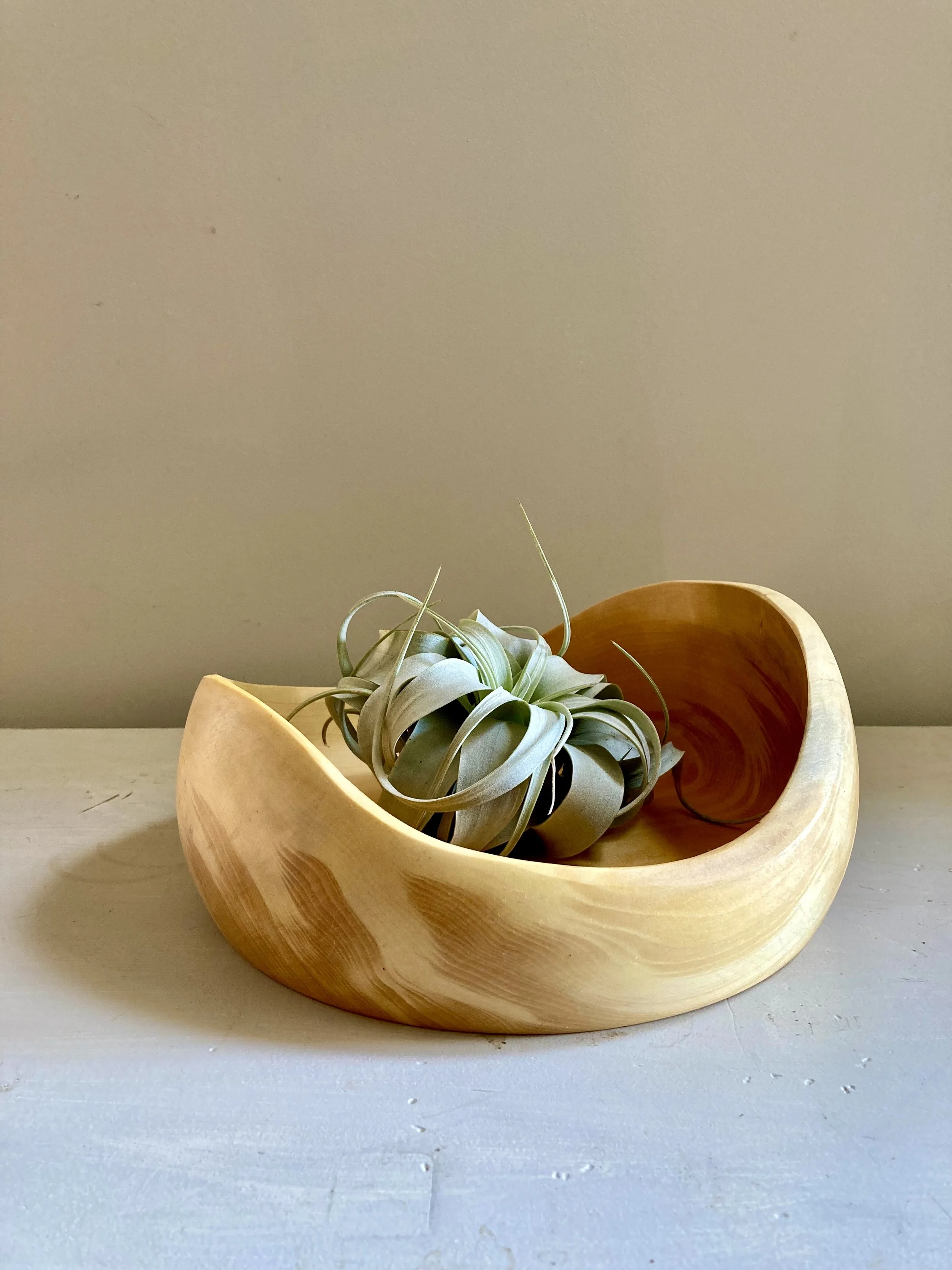 Featured Artist, Sawdust Siren @ Swarthmore Farmers Market