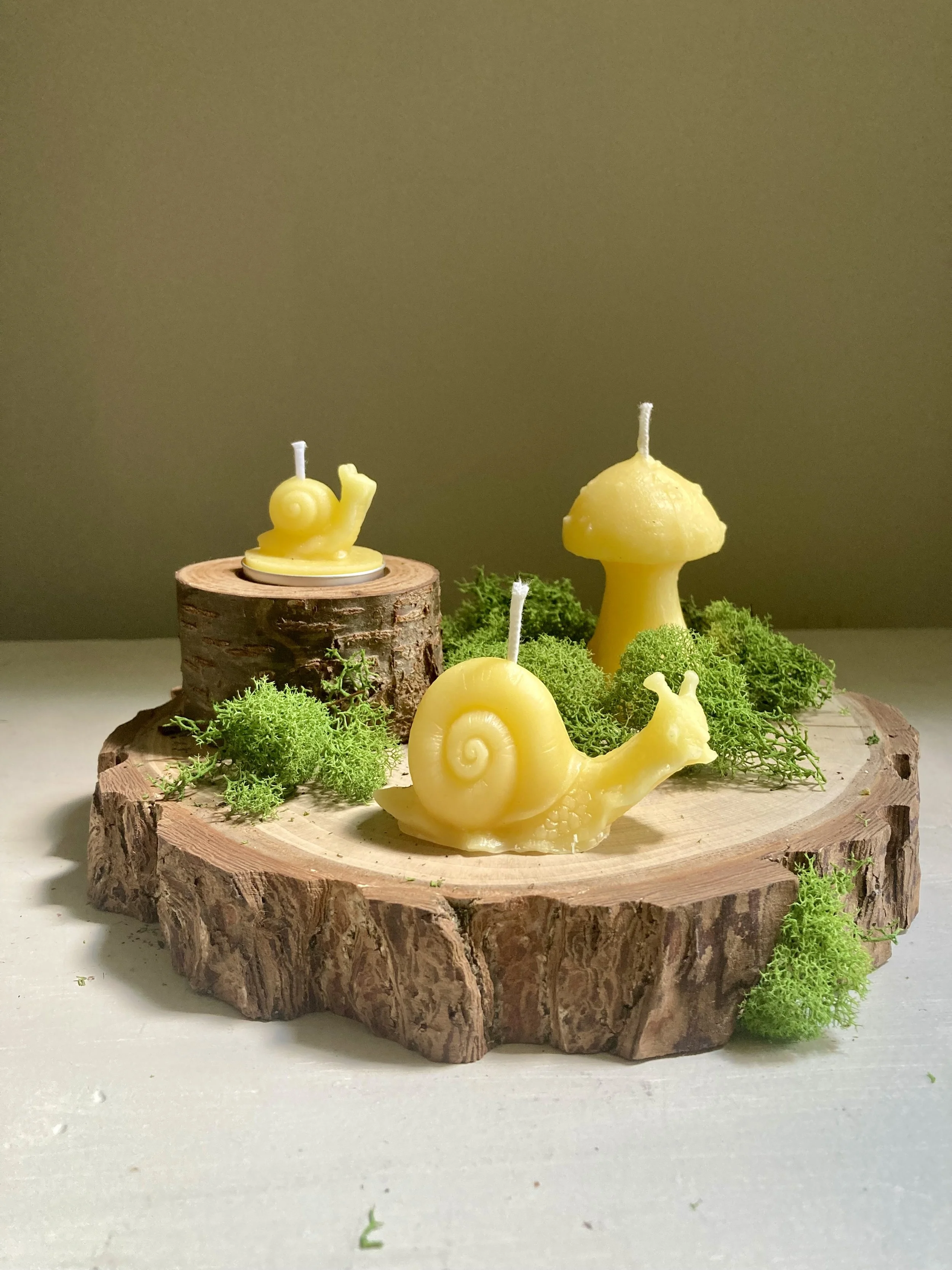 Featured Artist, Fireside at Tyler Arboretum