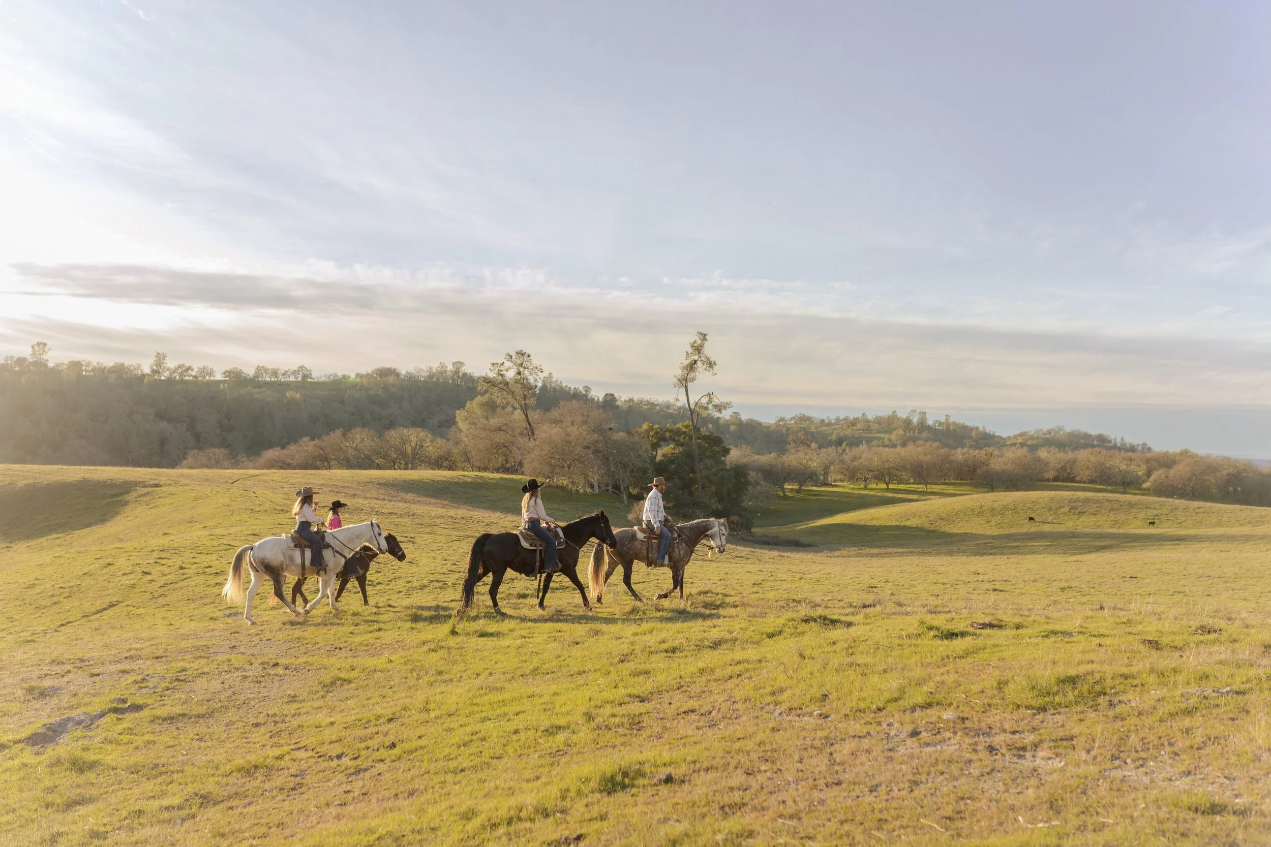 Winter in the Saddle