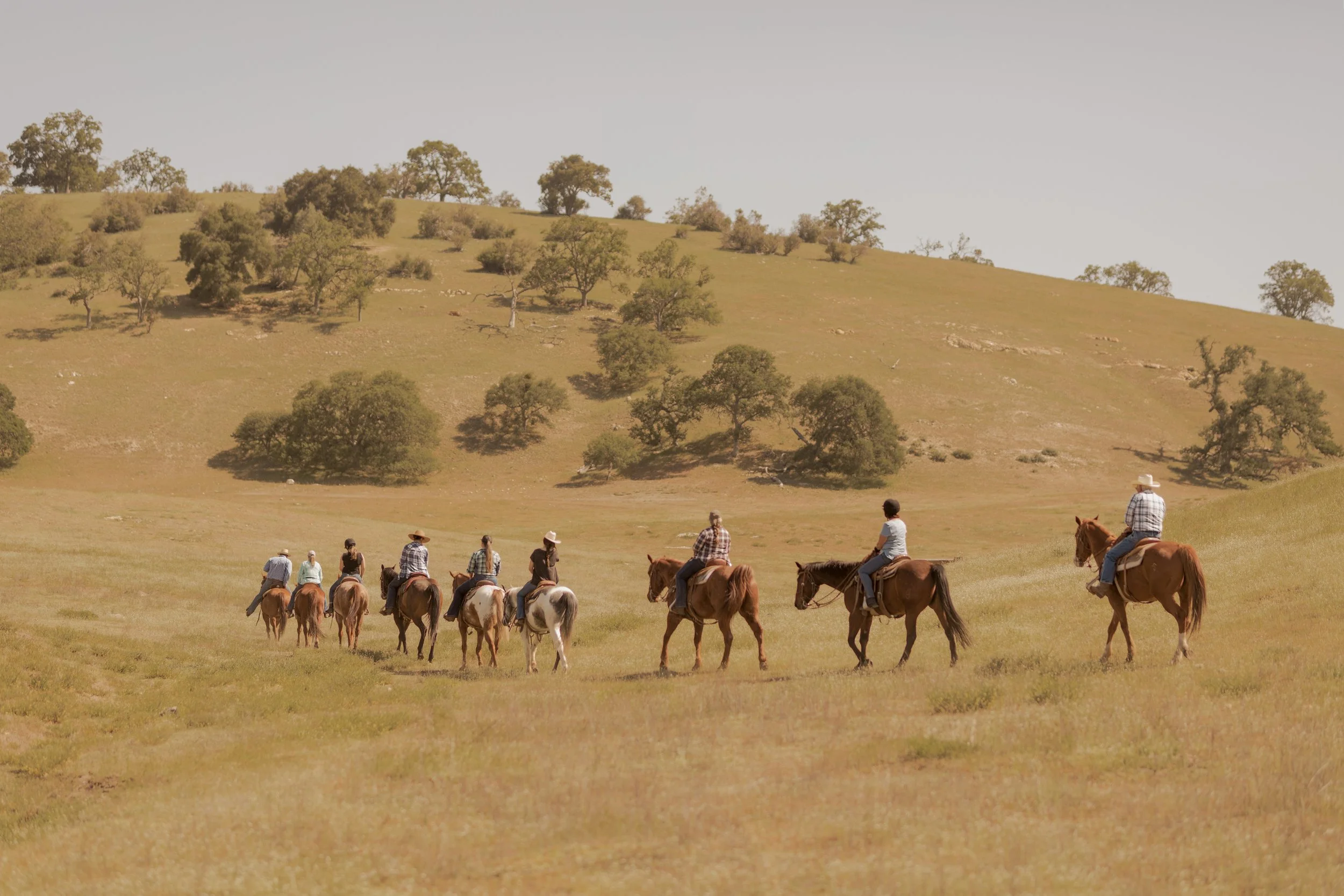 Fun for the whole group!