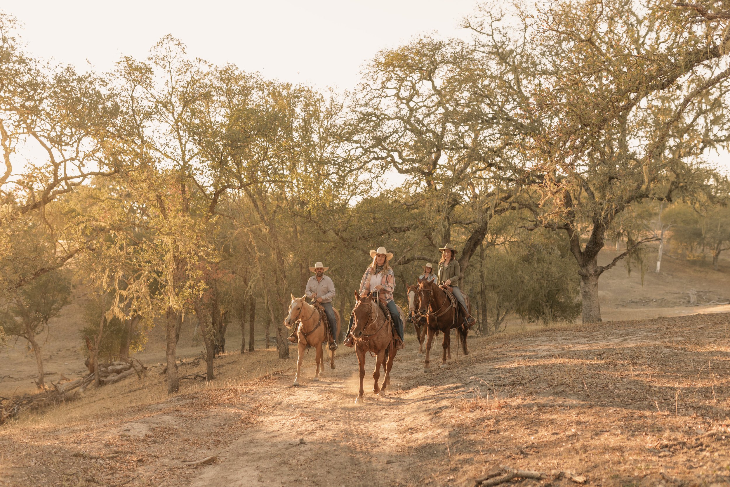 CCT-SMR-Vineyard315.jpg