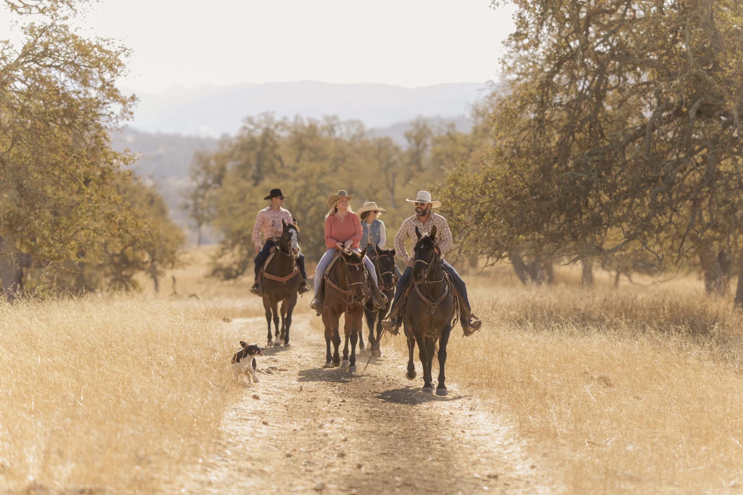 A group of four people riding horses on a trail through a sunlit, dry grass landscape with trees and mountains in the background, accompanied by a small dog.