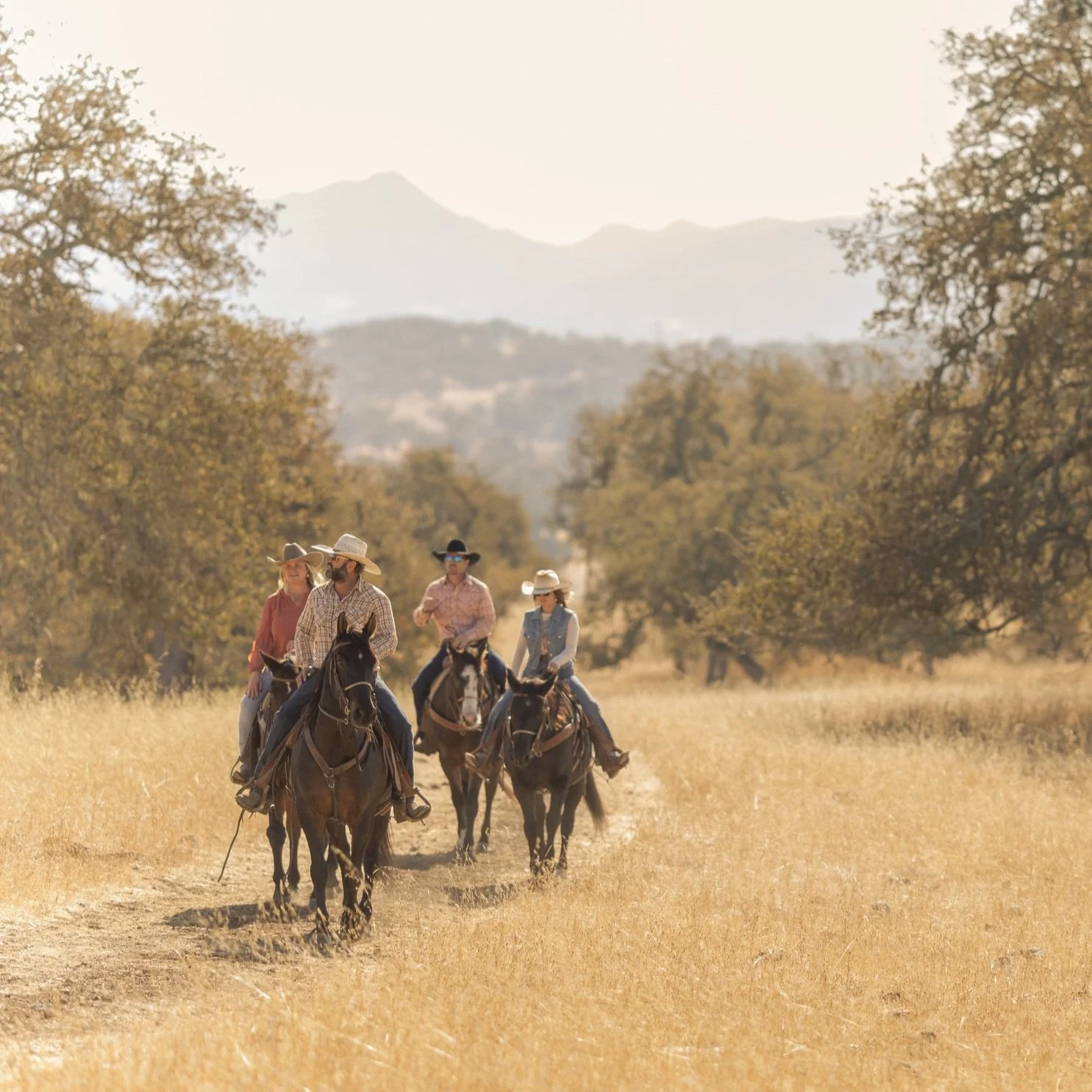 Rides — Central Coast Trailrides