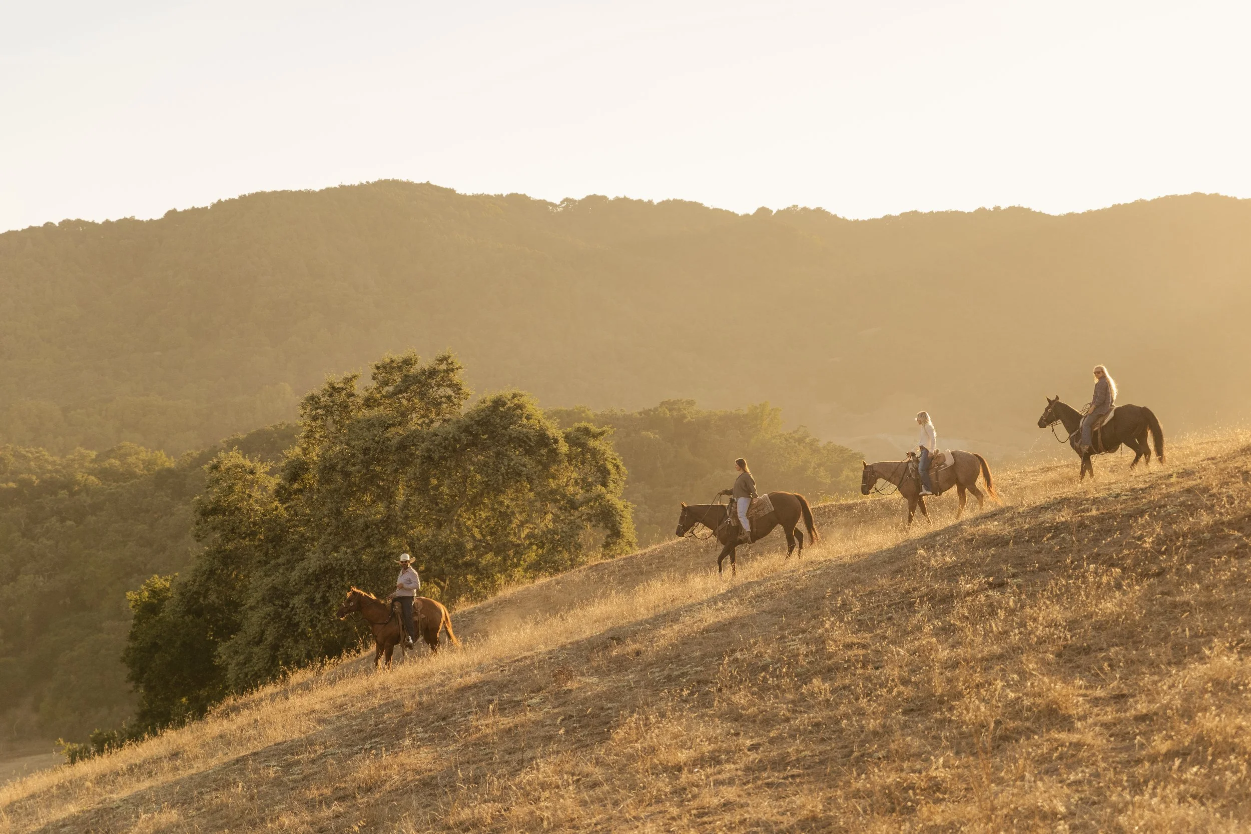 People riding horses down a hillside during sunset, with trees and mountains in the background.