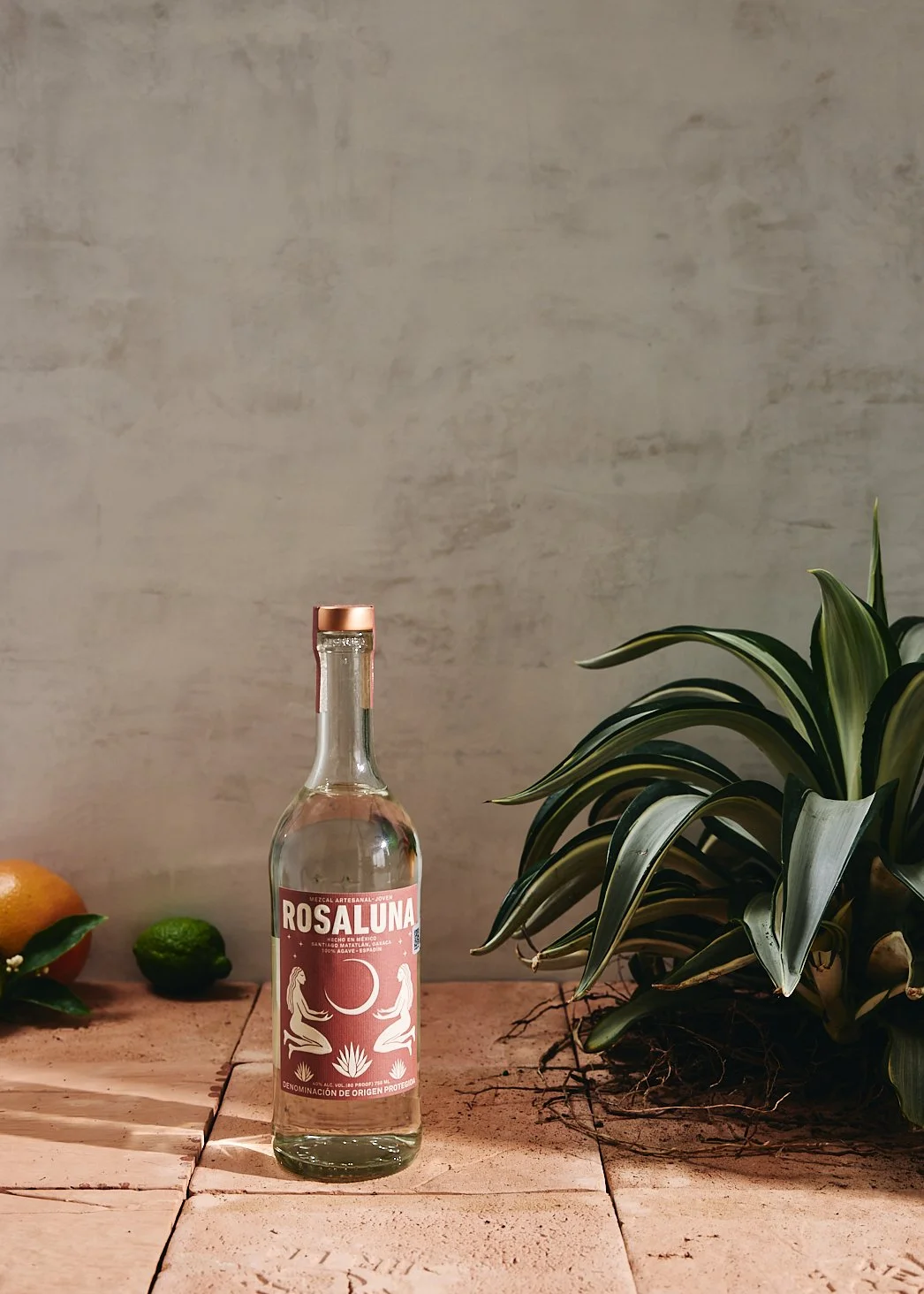2025-04-04_MezcalTest0119.jpg