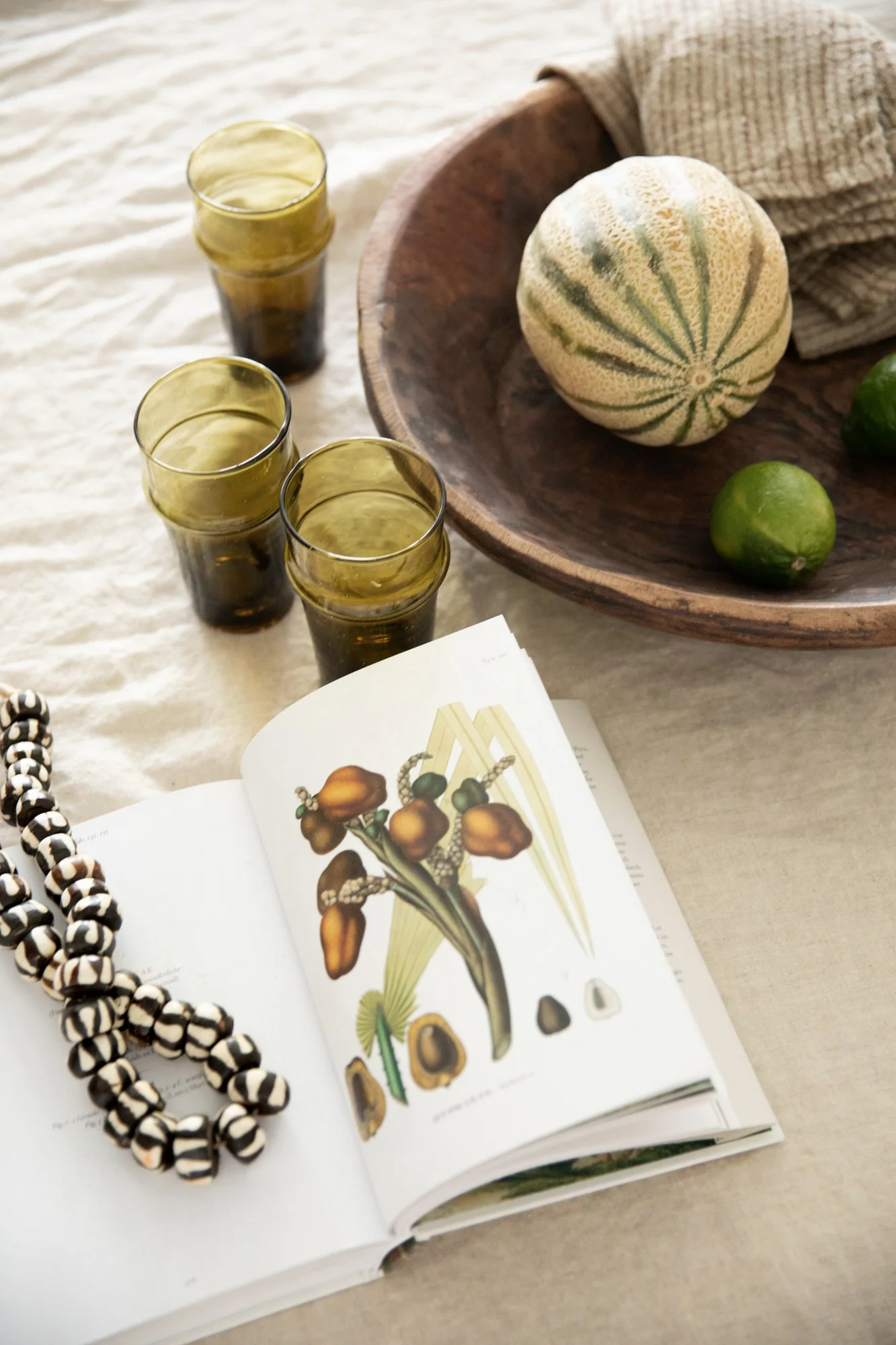 A flat lay of a table with a botanical book open to a page showing an illustrated drawing of a plant, a black and white beaded necklace, and a wooden bowl containing a round, striped melon and two smaller green fruits. In the background, three amber-