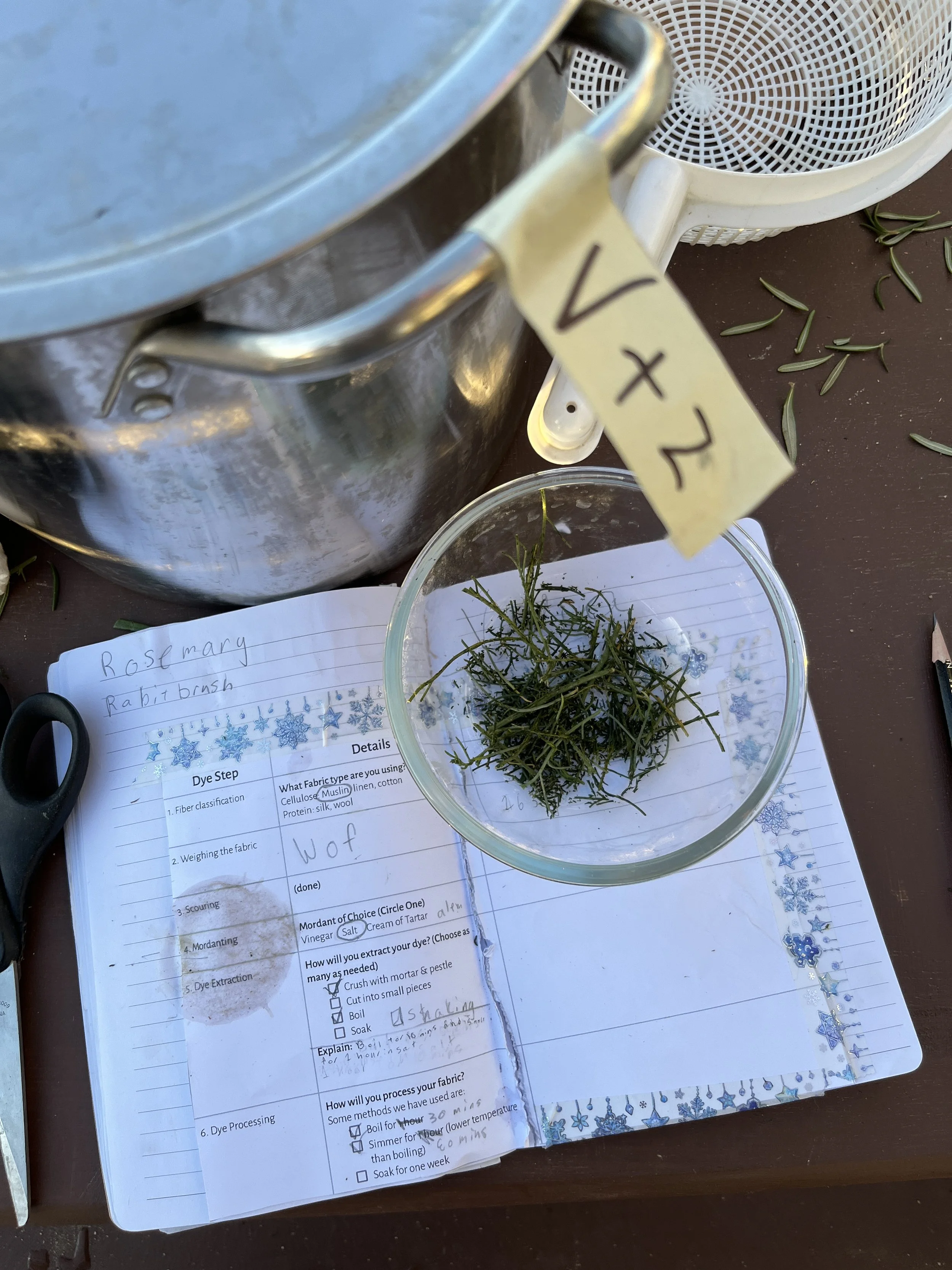 Student notes from Fibers & Nature Dye Science projects. Materials tested include native desert flora rabbit brush, acacia bark and non-native rosemary bushes. 2023.