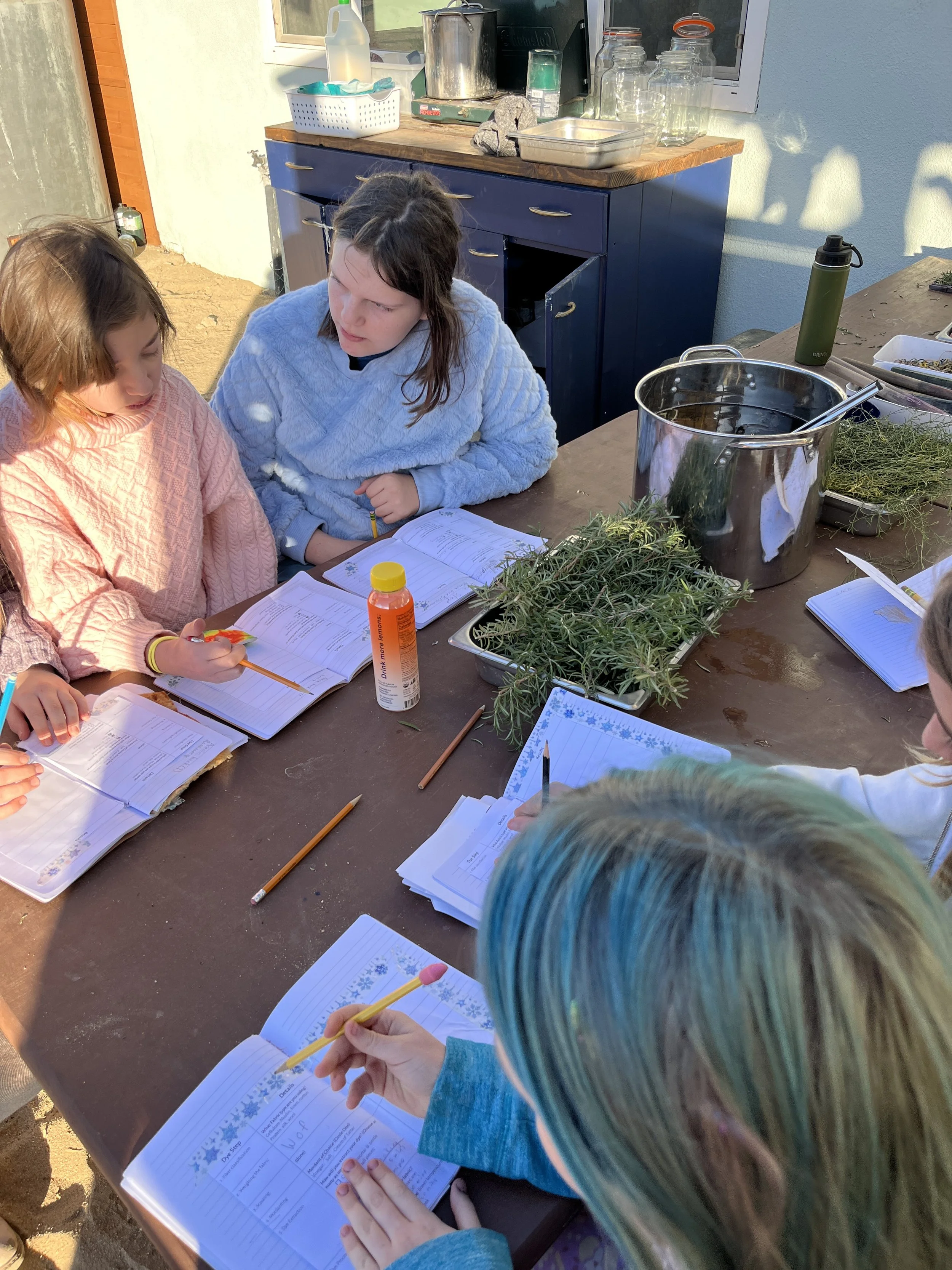 Students working in small groups on Fibers & Nature Dye Science projects. Materials tested include native desert flora rabbit brush, acacia bark and non-native rosemary bushes, 2023.