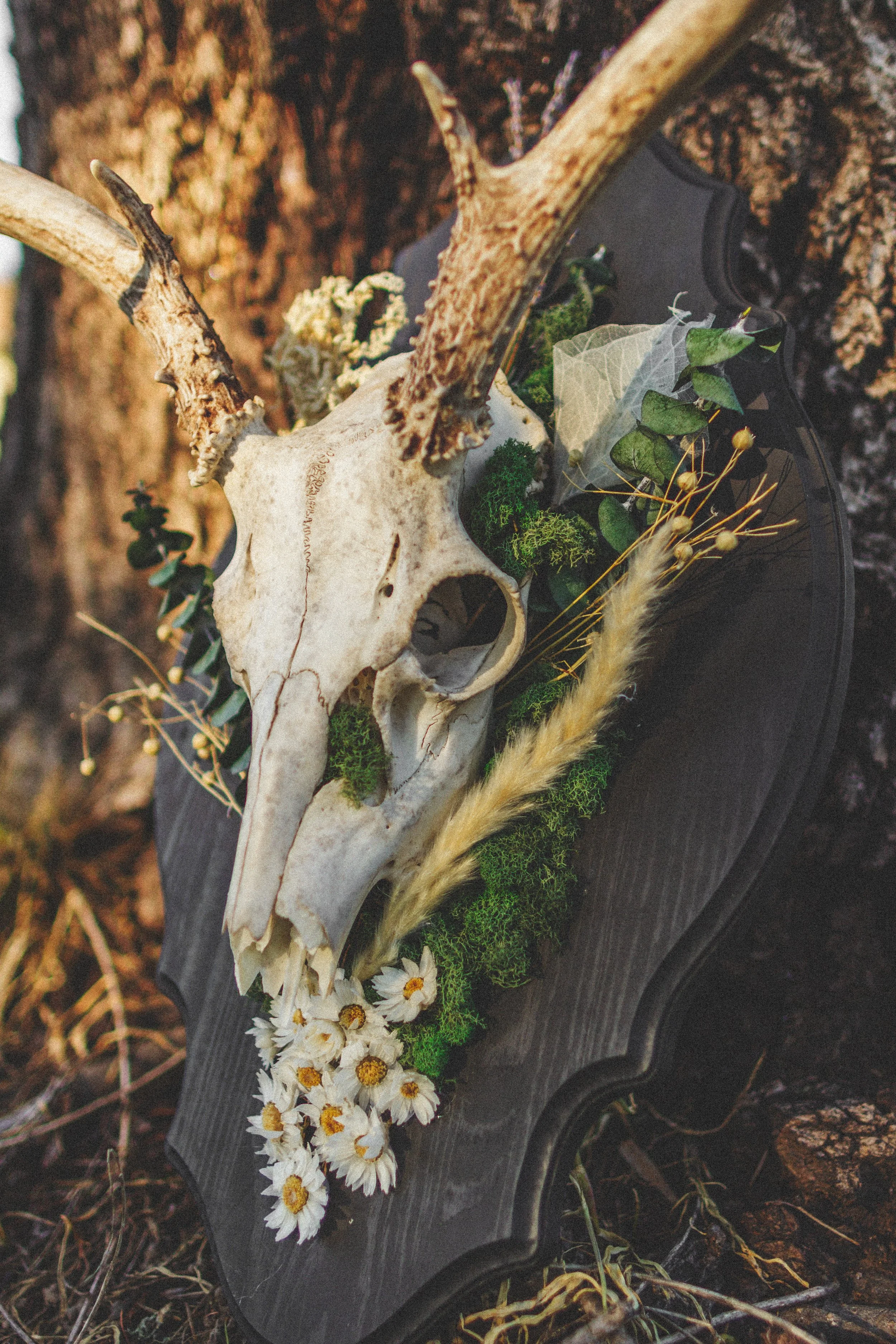 Boneyard Baddie Creation
